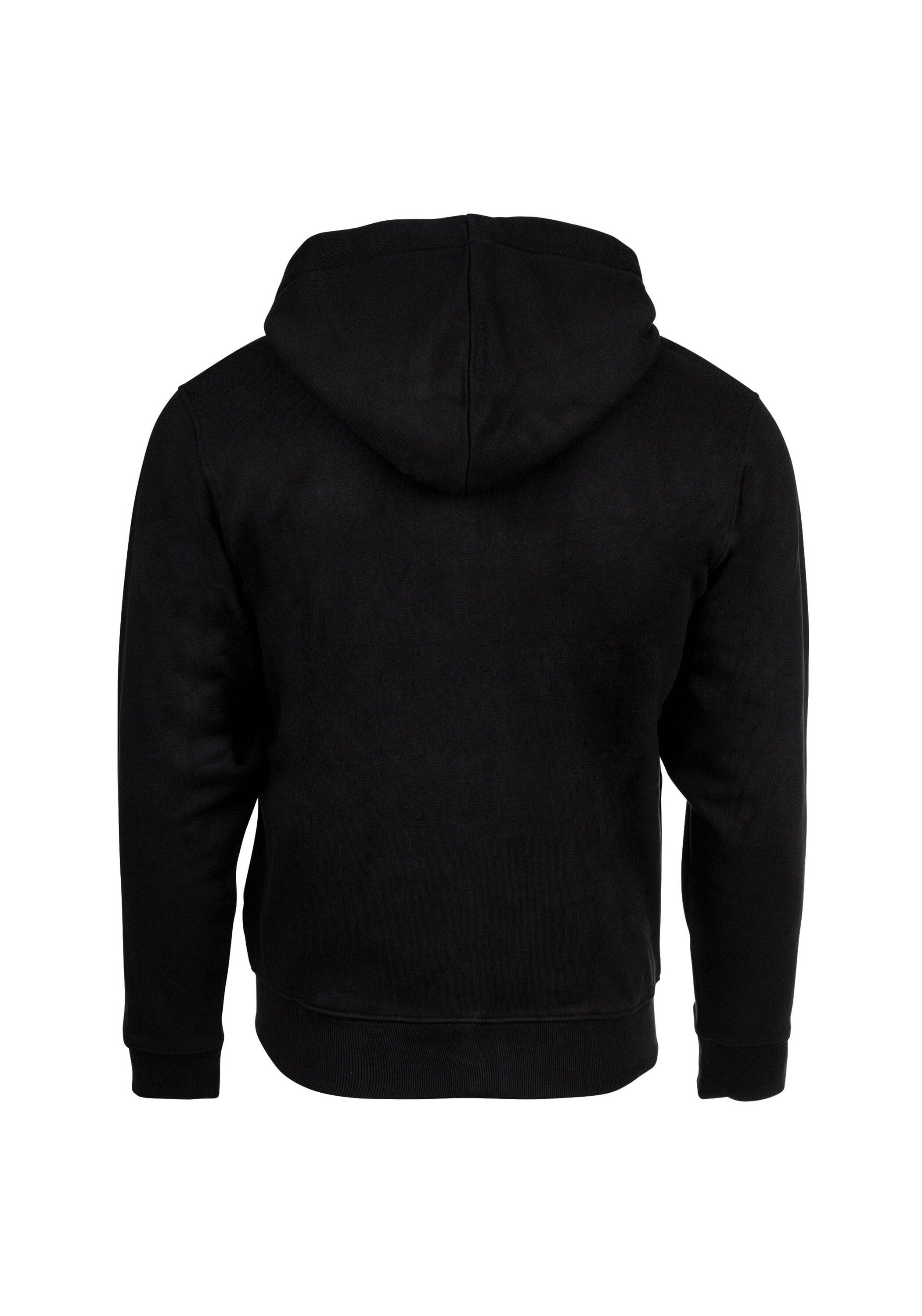 Replay Sweatshirt »Sweatjacke Sweatshirt, BRUSHED FLEECE«