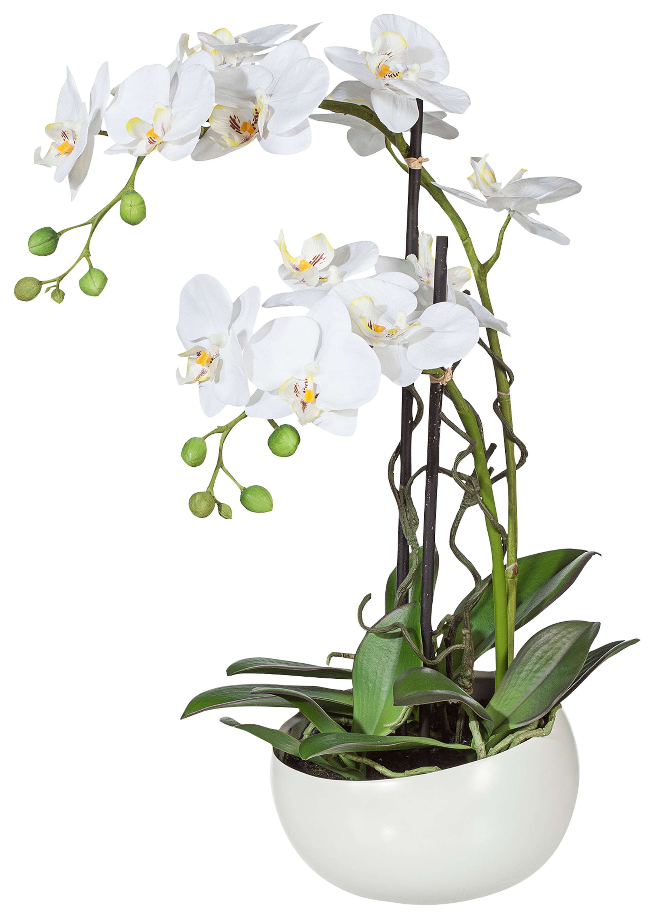 Creativ green Kunstpflanze »Orchidee«, (1 St.) im OTTO Online Shop
