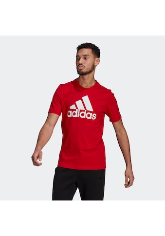 adidas Performance T-Shirt »ESSENTIALS BIG LOGO« kaufen