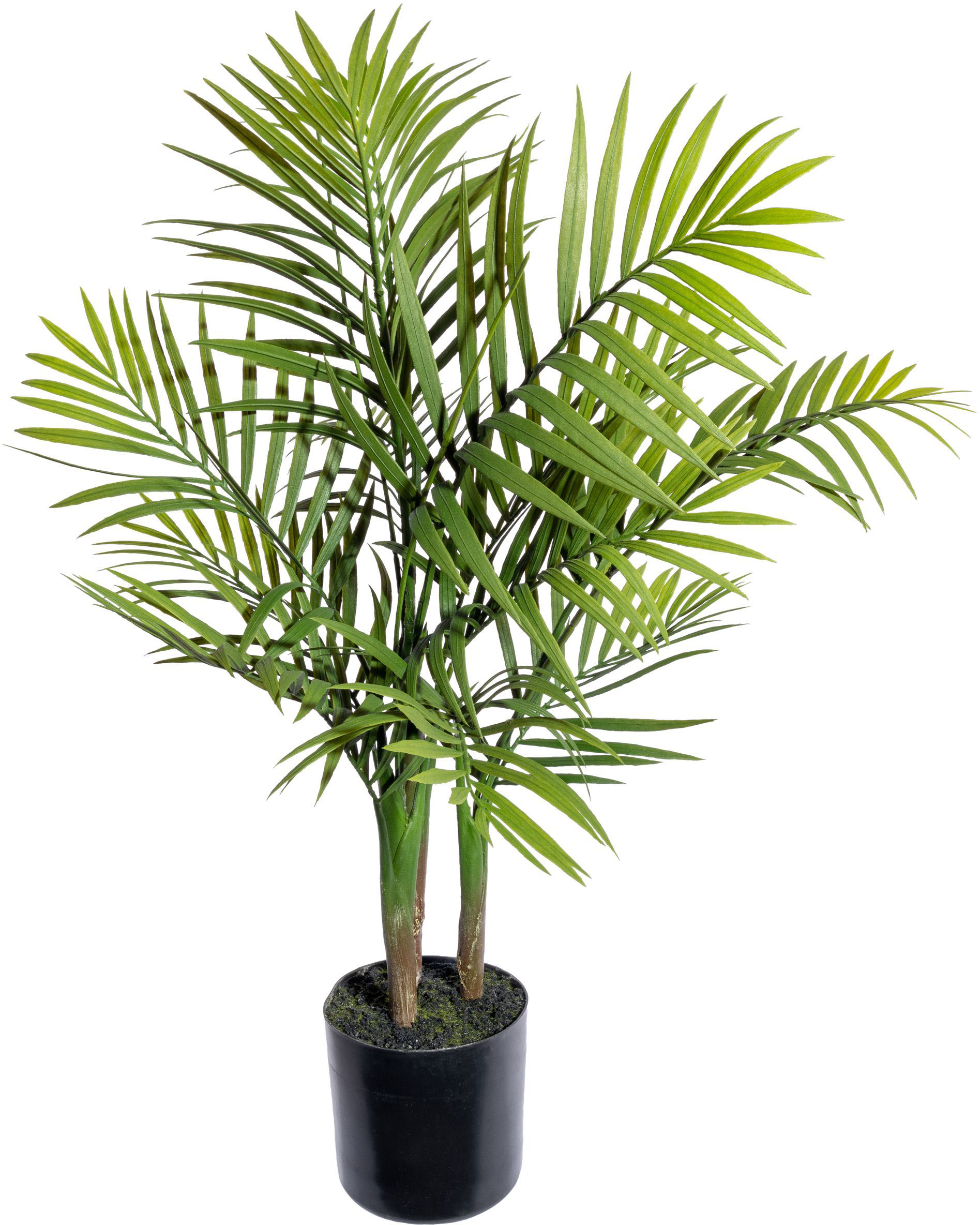 Creativ green Künstliche Zimmerpflanze »Adianthumfarn« OTTO Shop Online im kaufen