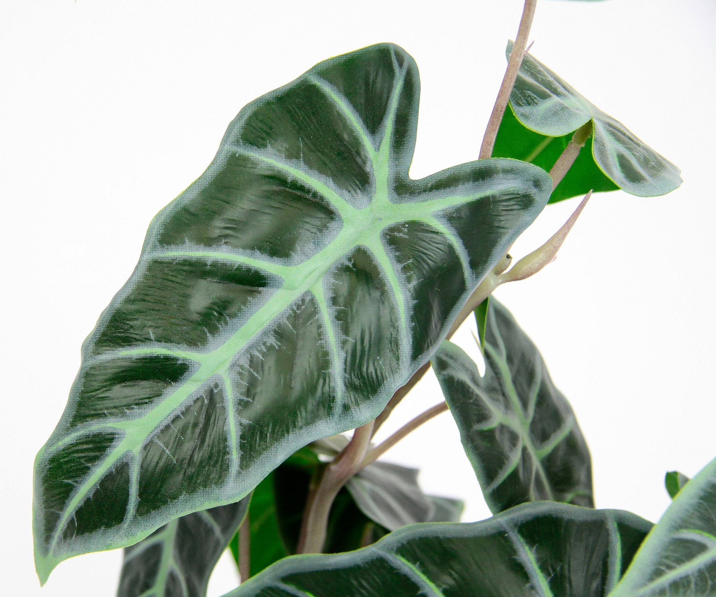 I.GE.A. Kunstpflanze »Calathea«, Kunst-Pflanze Seidenblumen ZimmerpflanzeZebrina Alocasia Sanderiana