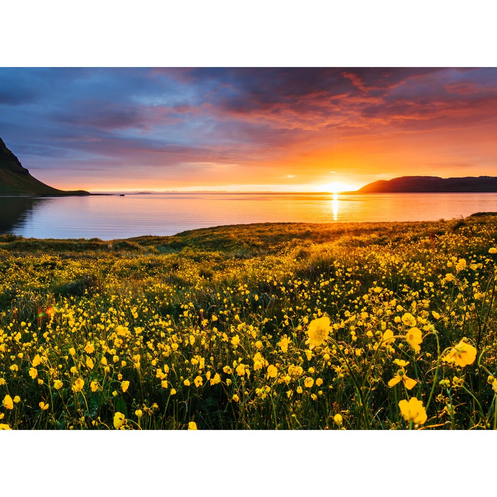 Papermoon Fototapete »Flower Field Kirkjufell Iceland«