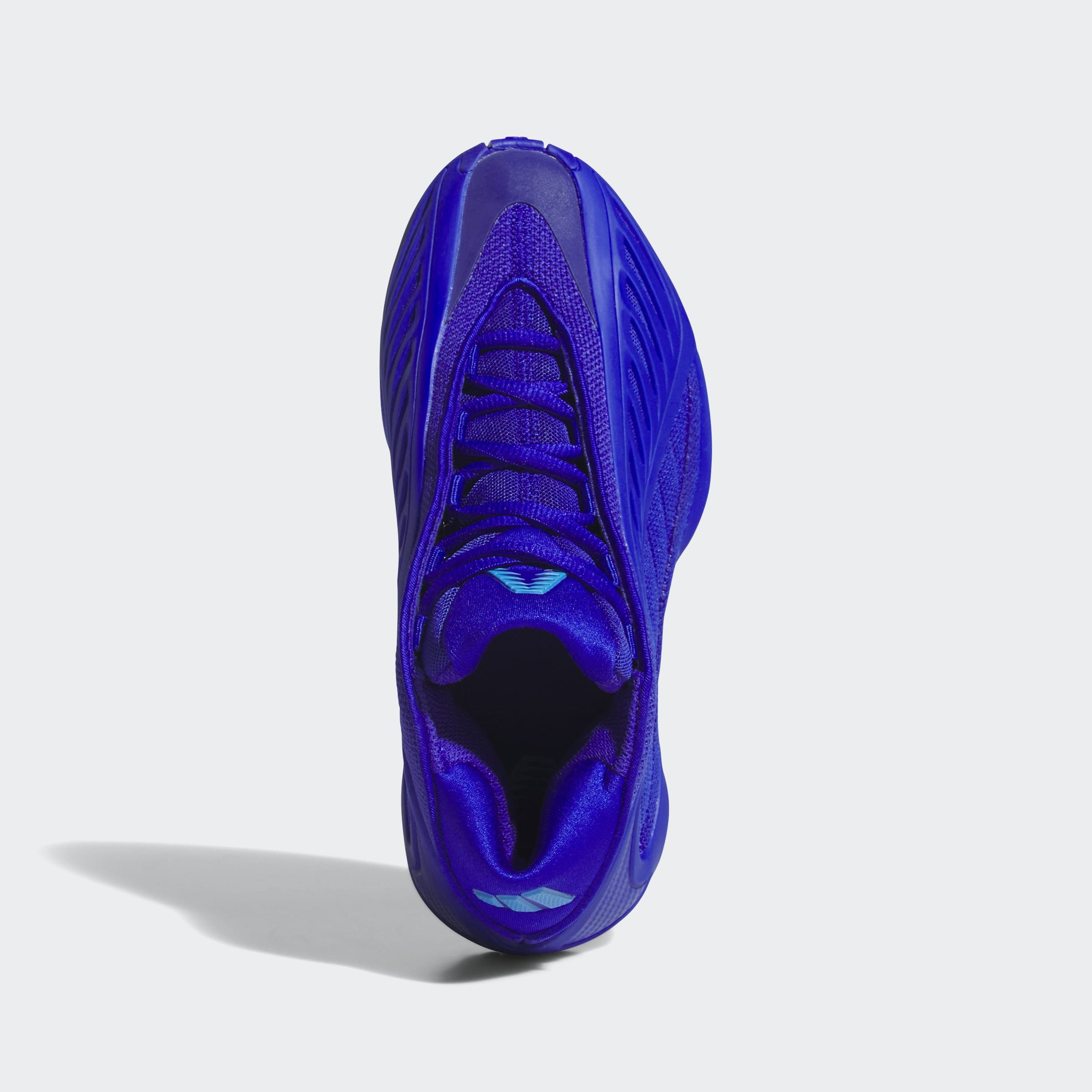 adidas Performance Basketballschuh  für Kinder & Jugendliche