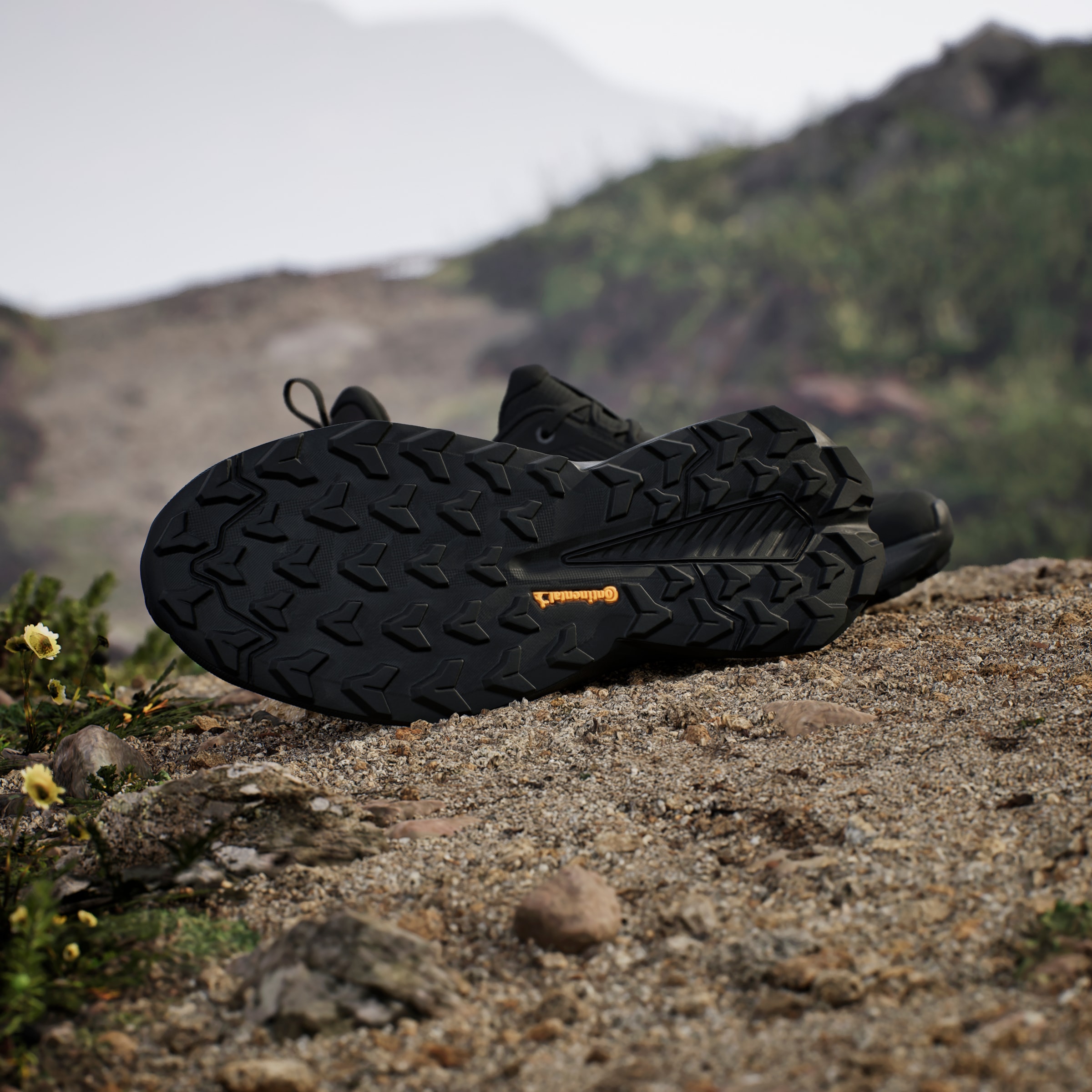 adidas TERREX Wanderschuh »TRAILMAKER 2«
