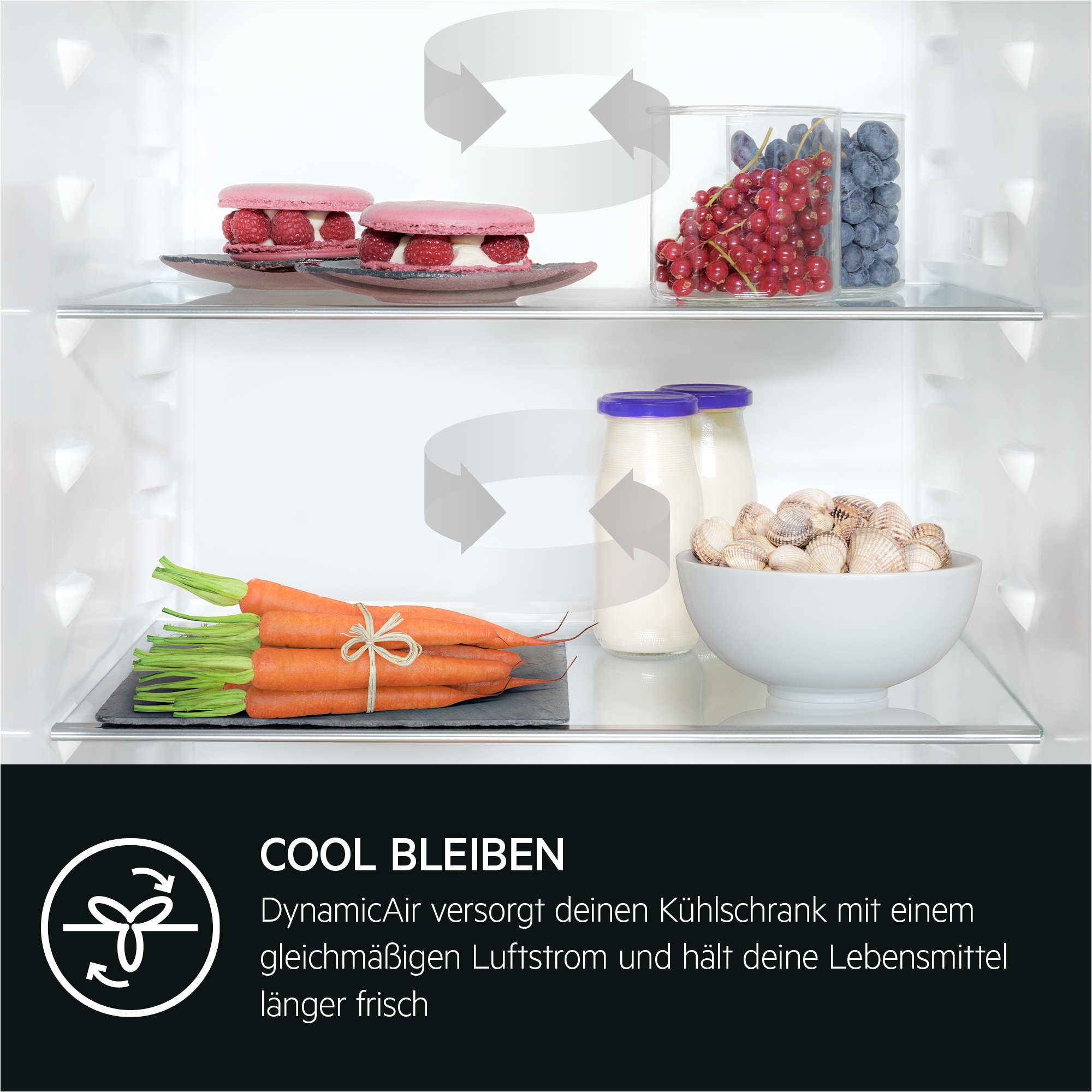 AEG Einbaukühlschrank 6000 »TK6DS181DC 923584343«, DynamicAir: Für gleichmäßige Kälteverteilung