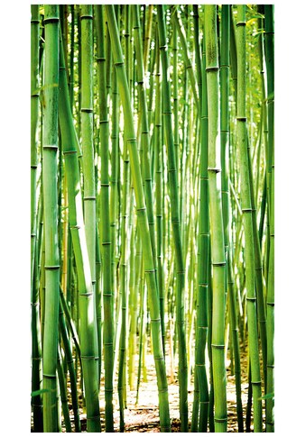 Bodenmeister Fototapete »Bambus-Wald grün« kaufen