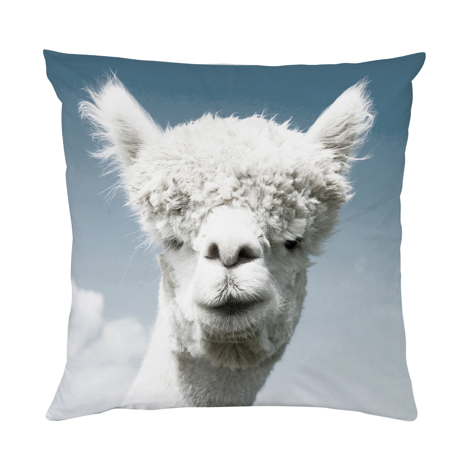 queence Dekokissen »Alpaka«, Kissenhülle mit HD Premium Druck, geruchsneutral, 40x40cm