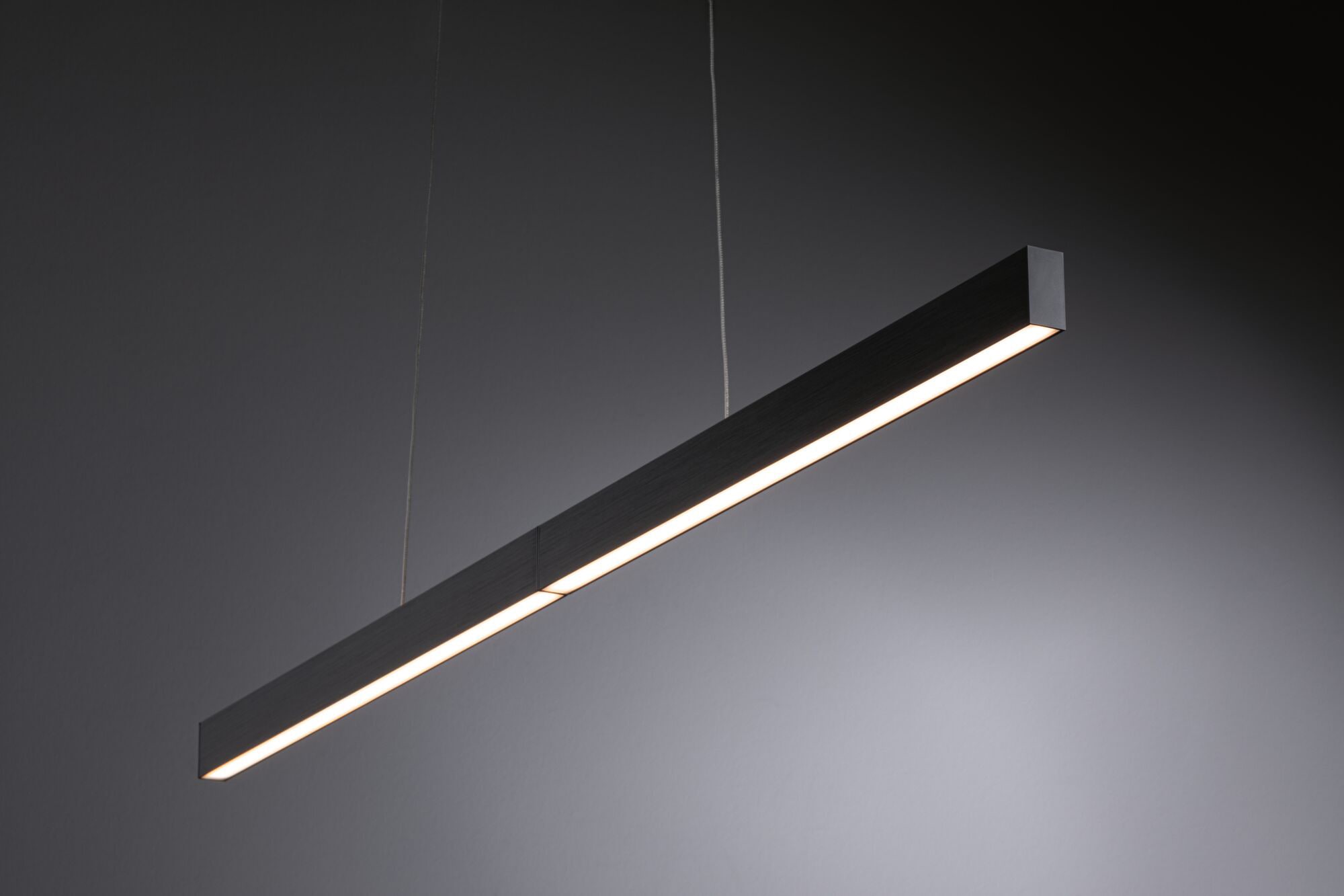 Paulmann LED Pendelleuchte »Aptare«