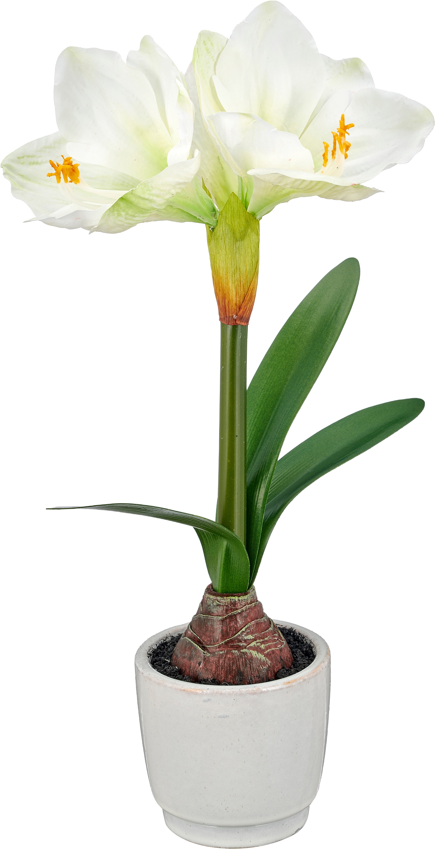 OTTO home Winterliche Kunstpflanze »Amaryllis« mit naturgetreuen Blüten