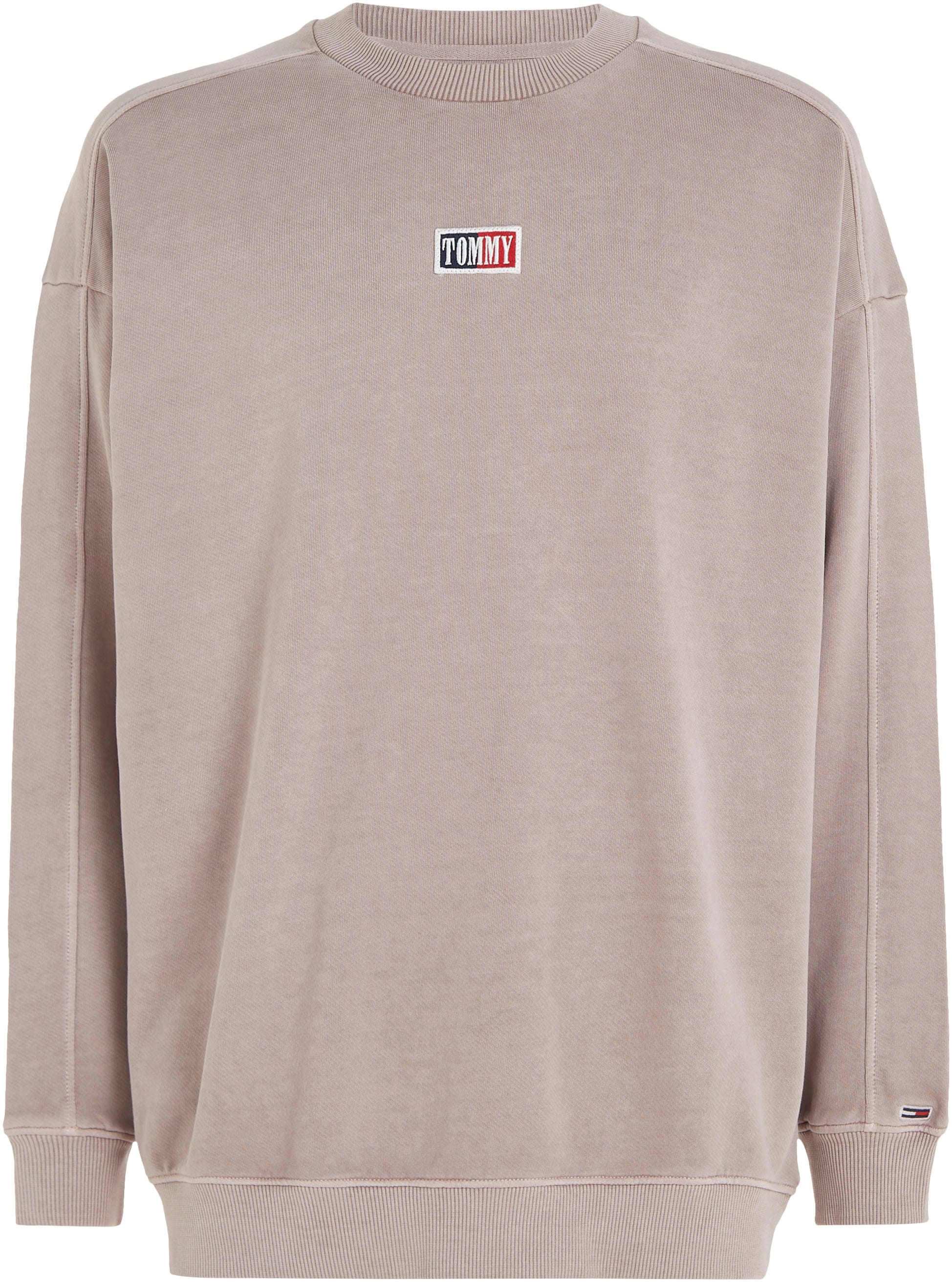 Tommy Jeans Sweater »TJM SKATER TIMELESS TOMMY CREW«