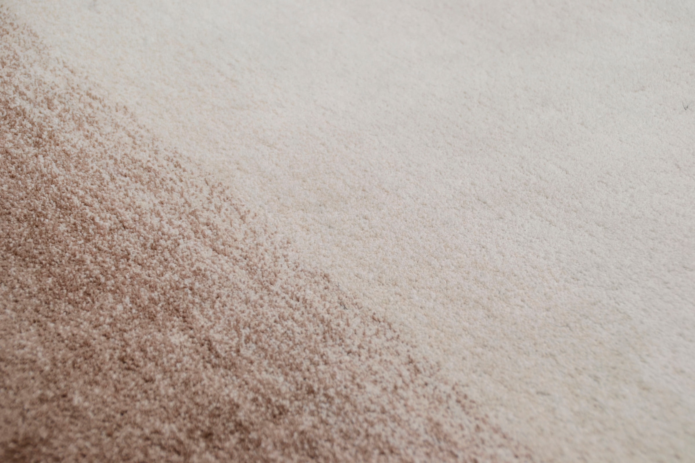 THEKO Teppich »Hula«, rechteckig, besonders weich durch Microfaser, ideal im Wohnzimmer & Schlafzimmer