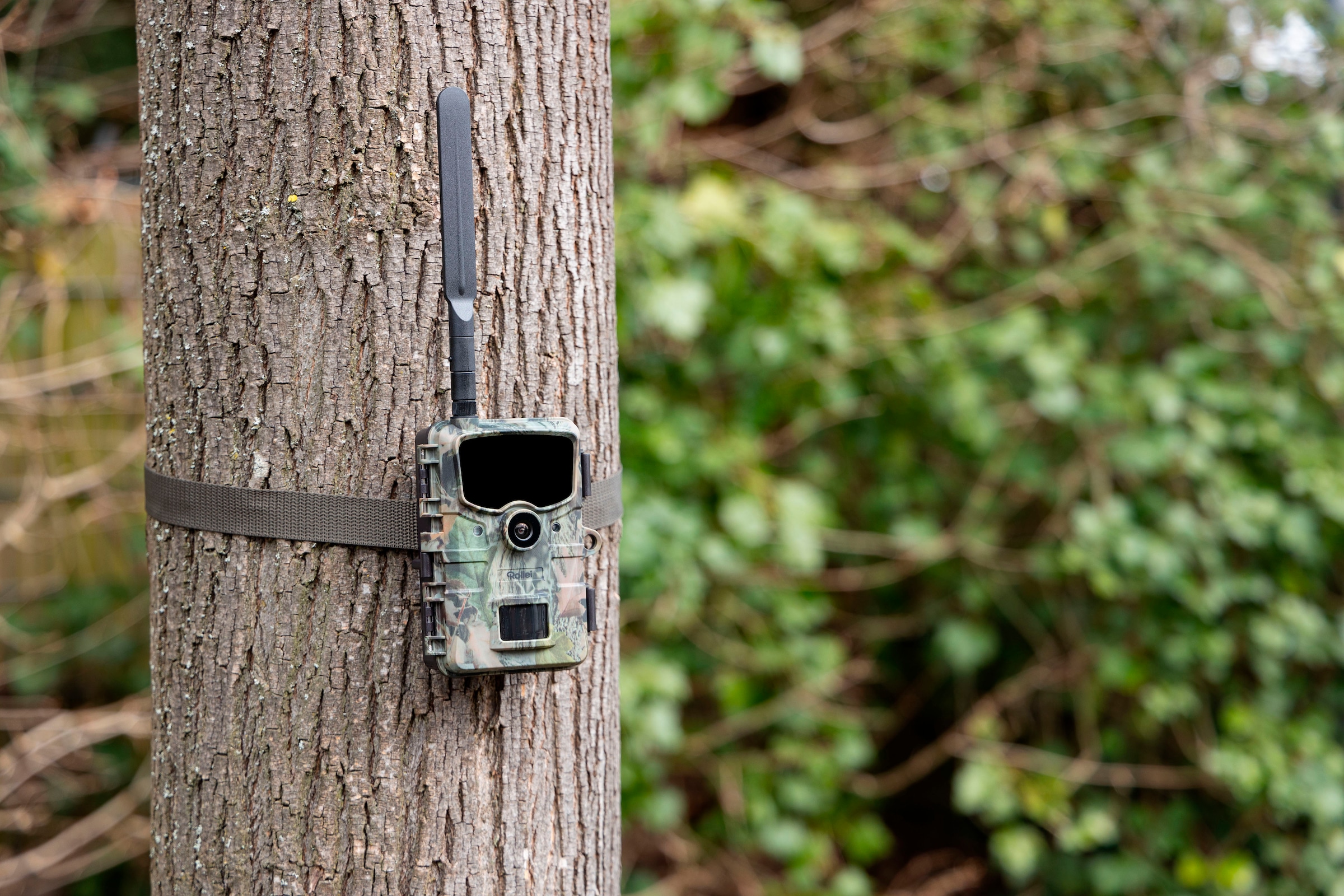 Rollei Wildkamera »Wildkamera 4G«, Außenbereich