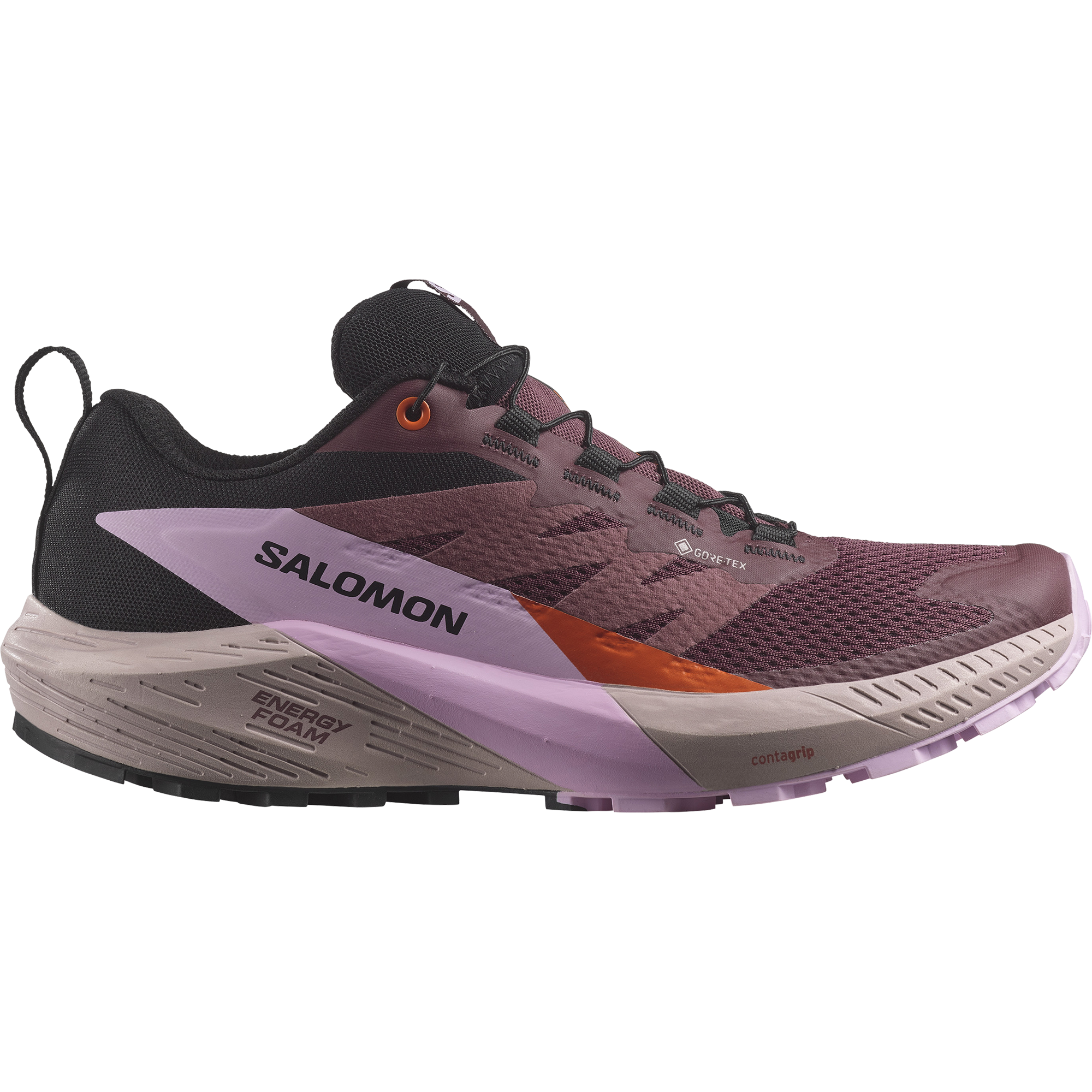 Salomon Laufschuh »SENSE RIDE 5 GORE-TEX«, wasserdicht