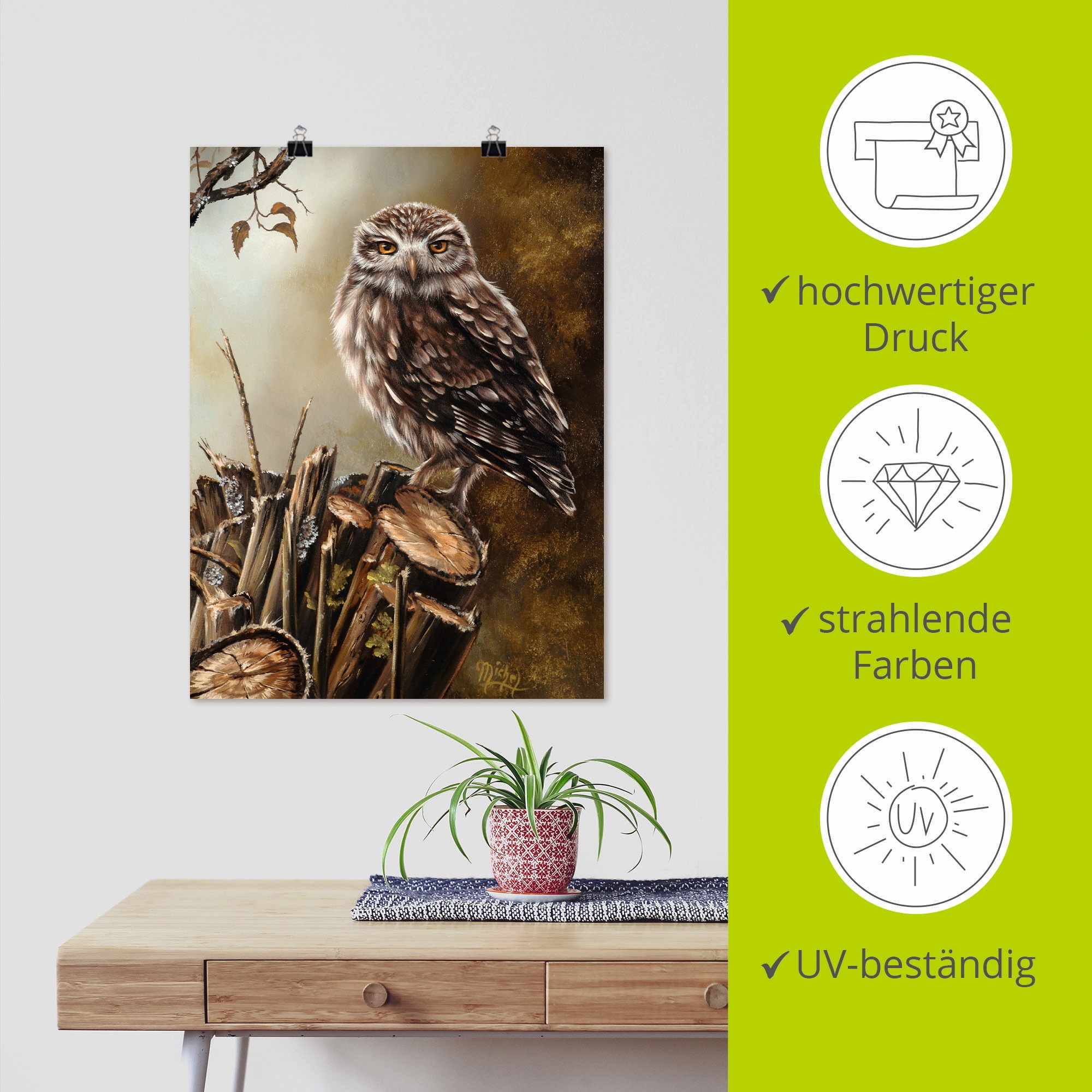 Artland Wandbild »Eule«, Vögel, (1 St.), als Leinwandbild, Poster in verschied. Größen