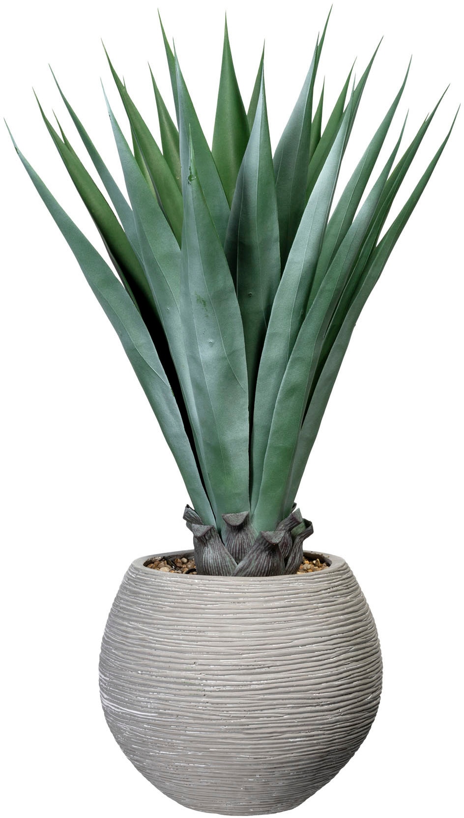 Creativ green Künstliche Zimmerpflanze »Agave«, kaufen St.), OTTO im (1 Zementtopf bei