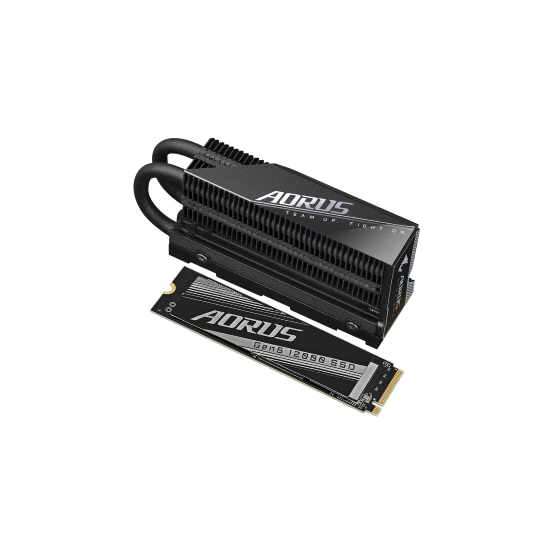 Gigabyte interne SSD »AORUS Gen5 12000«