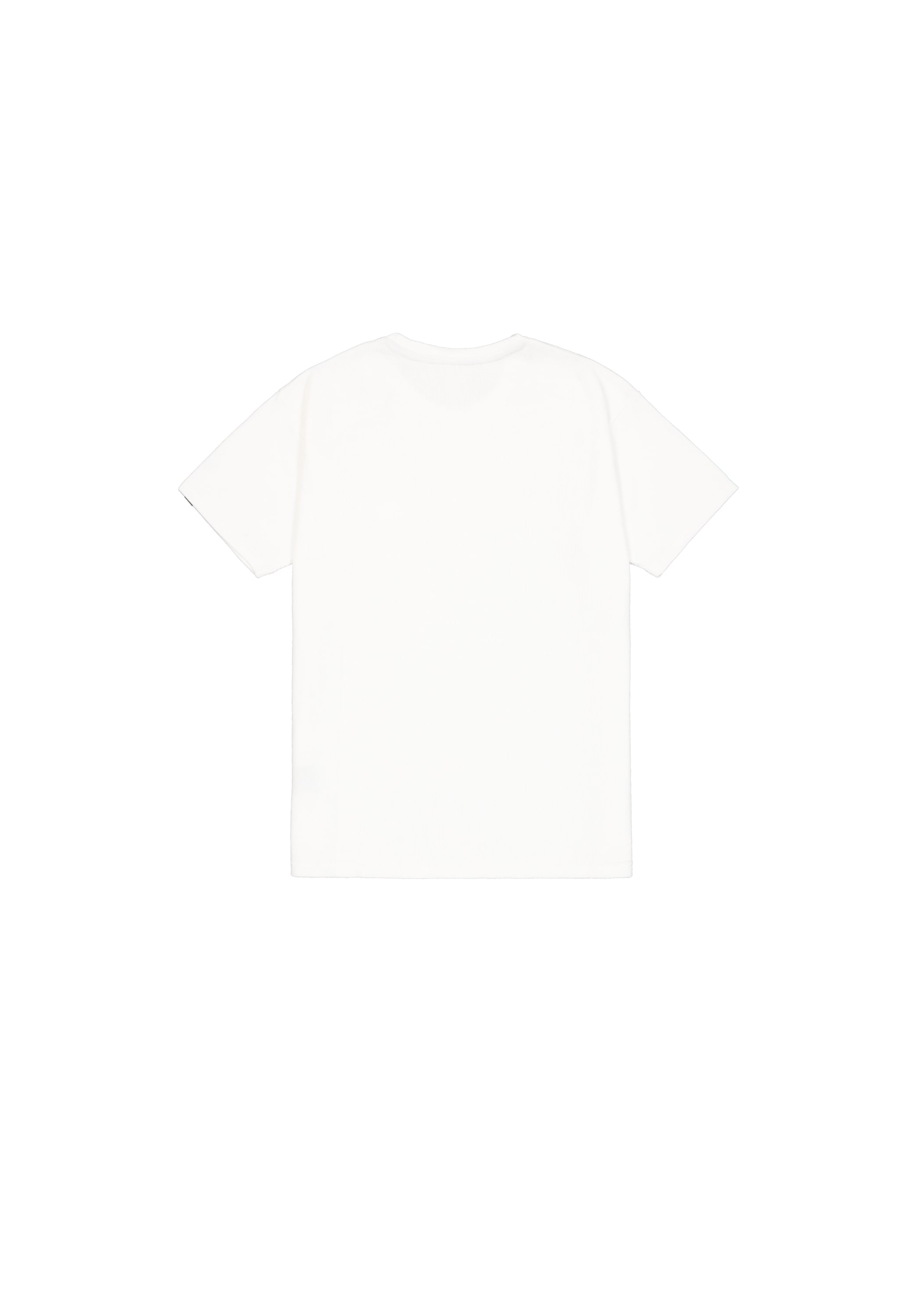 Alpha Industries 1100000002199 »Logo Airborn T-Shirt«