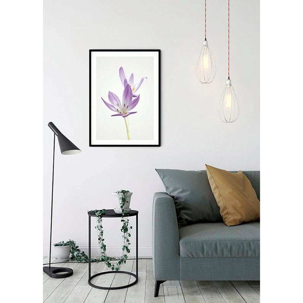 Komar Poster »Autumn Crocus«, Blumen, (1 St.)