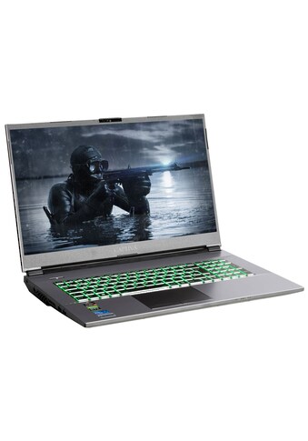 CAPTIVA Gaming-Notebook »Advanced Gaming I64-295«, (43,9 cm/17,3 Zoll), Intel, Core... kaufen
