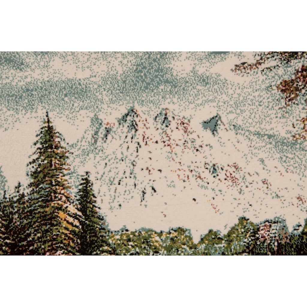 morgenland Wandteppich »Bild-Teppich Figurativ 85 x 60 cm«, rechteckig, besonders weich durch Microfaser