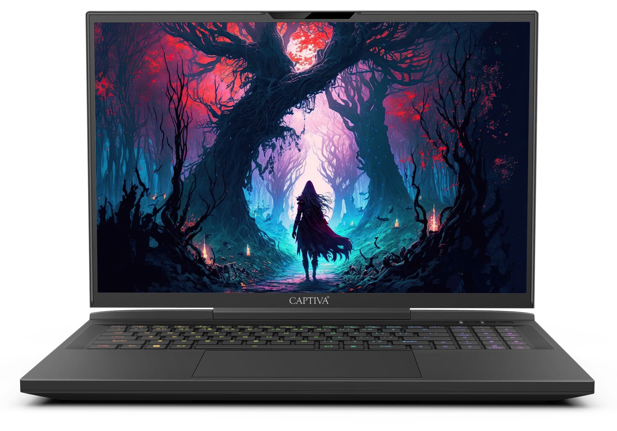 CAPTIVA Gaming-Notebook »Highend Gaming I81-516«, Intel, Core i9, 4000 GB SSD