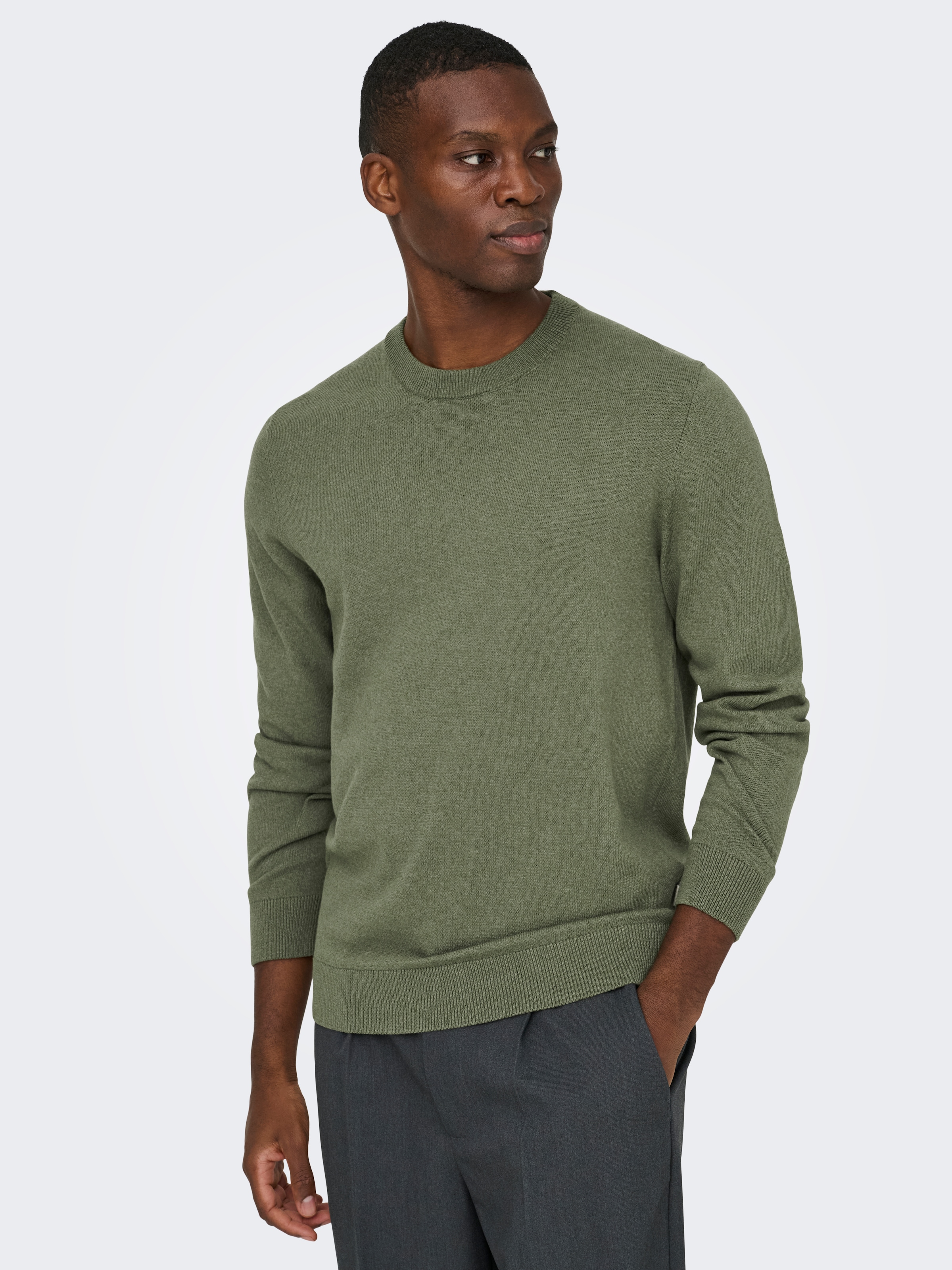 ONLY & SONS Rundhalspullover »ONSREX LIFE REG 12 CREW KNIT«