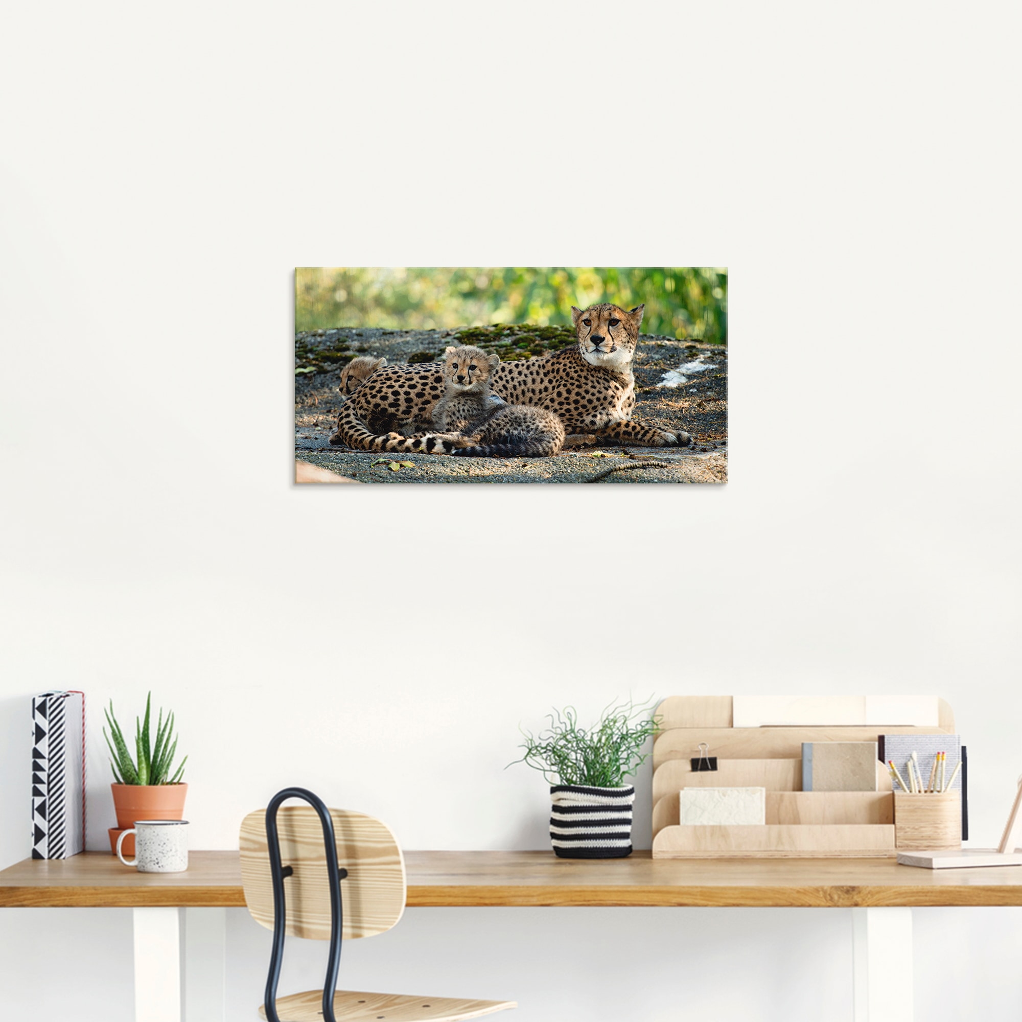 Artland Glasbild »Gepard 2«, Wildtiere, (1 St.), in verschiedenen Größen