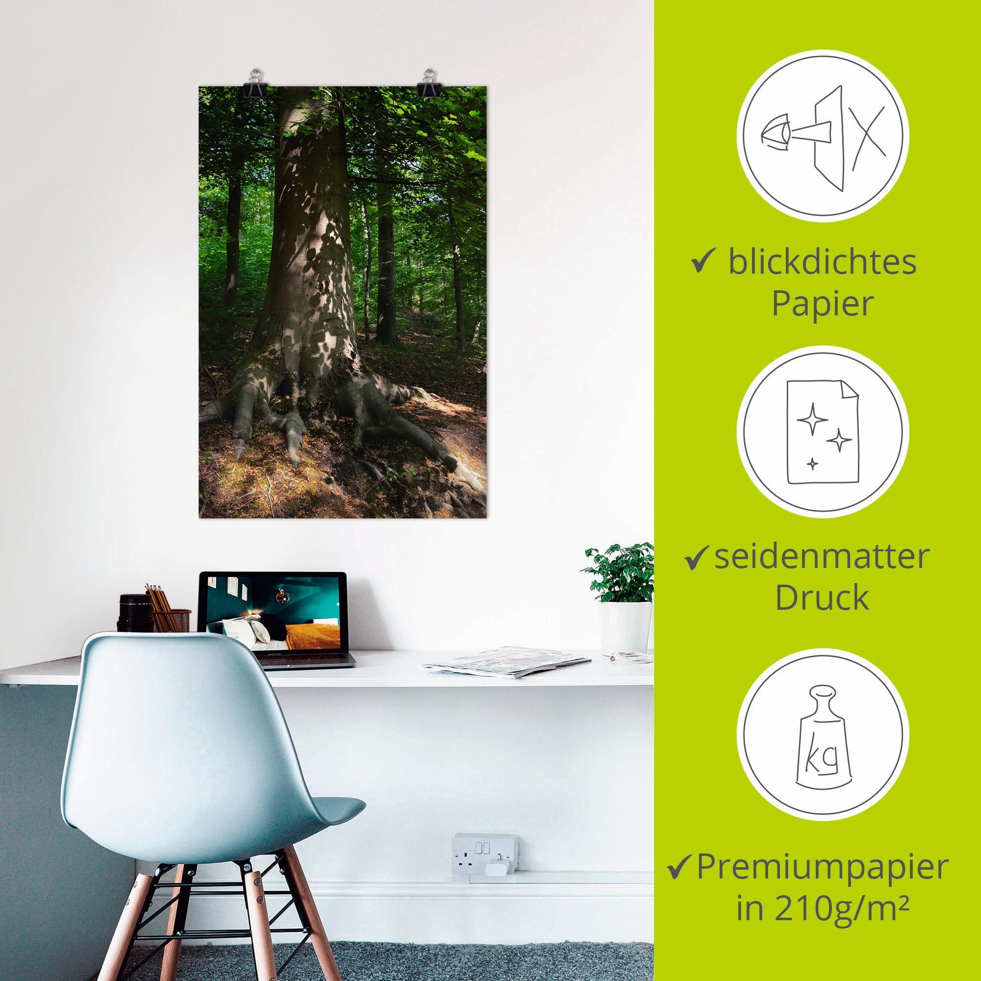 Artland Wandbild »Waldimpression«, Baumbilder, (1 St.), als Leinwandbild, Poster in verschied. Größen