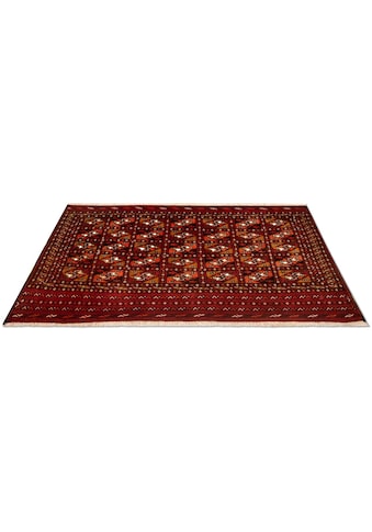 morgenland Wollteppich »Turkaman Teppich handgeknüpft rot«, rechteckig, 7 mm Höhe kaufen