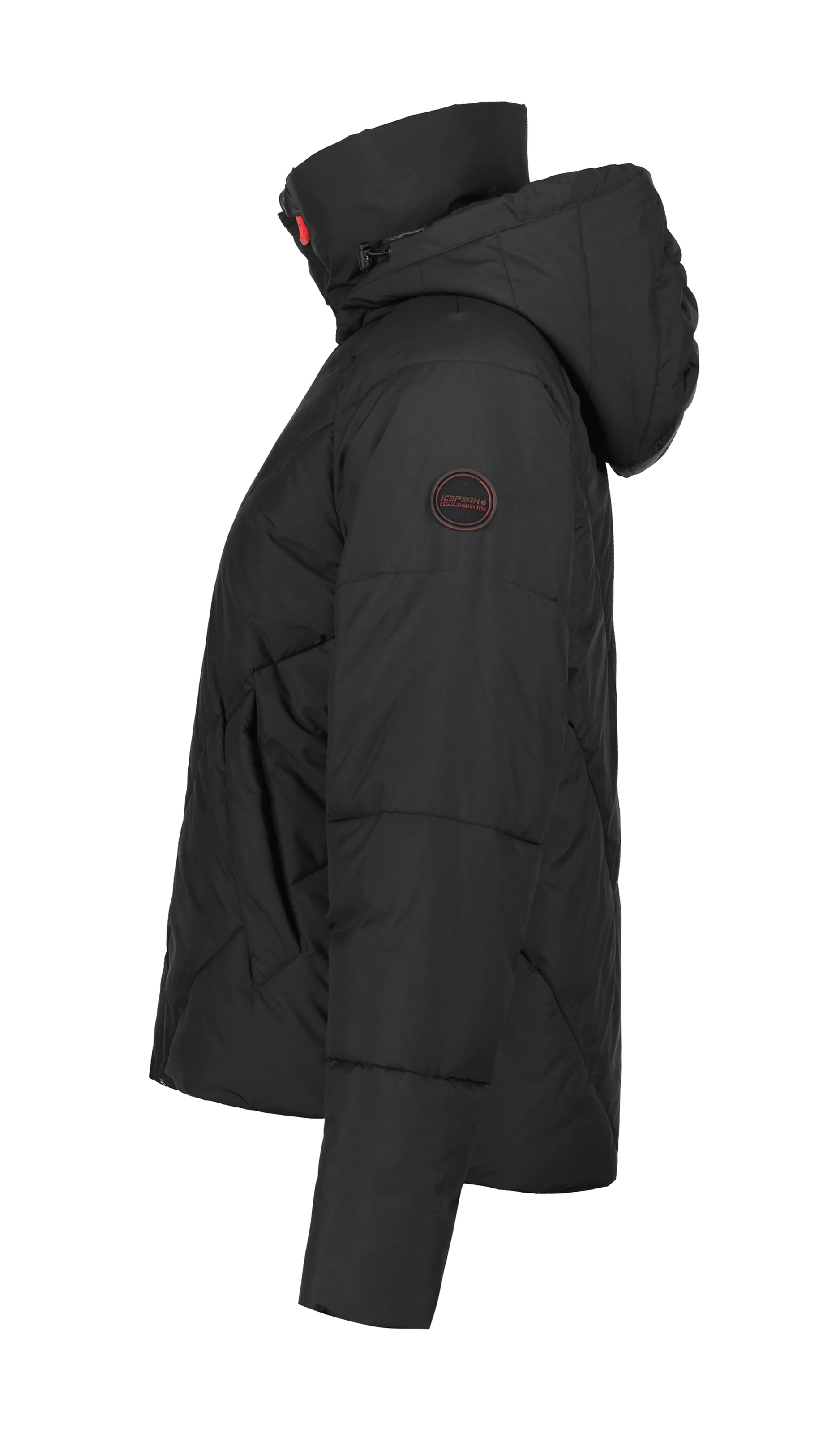 Icepeak Skijacke »D SKIJACKE DOWNLOOK EASTPORT«