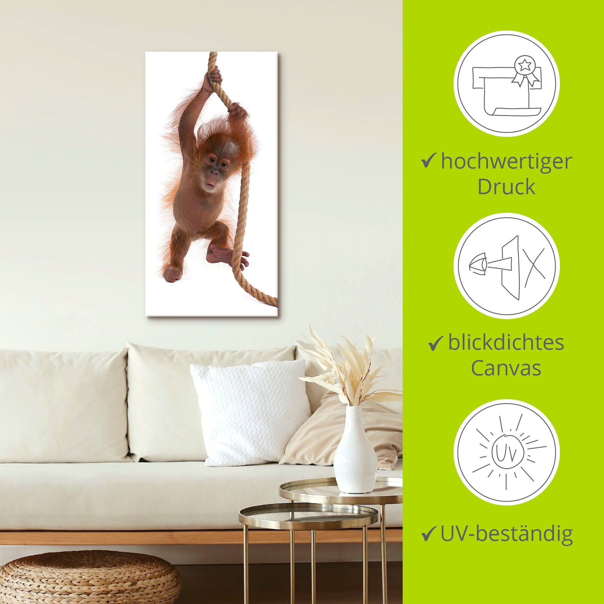 Artland Wandbild »Baby Orang Utan hängt am Seil I«, Wildtiere, (1 St.), als Alubild, Leinwandbild, Wandaufkleber oder Poster in versch. Größen