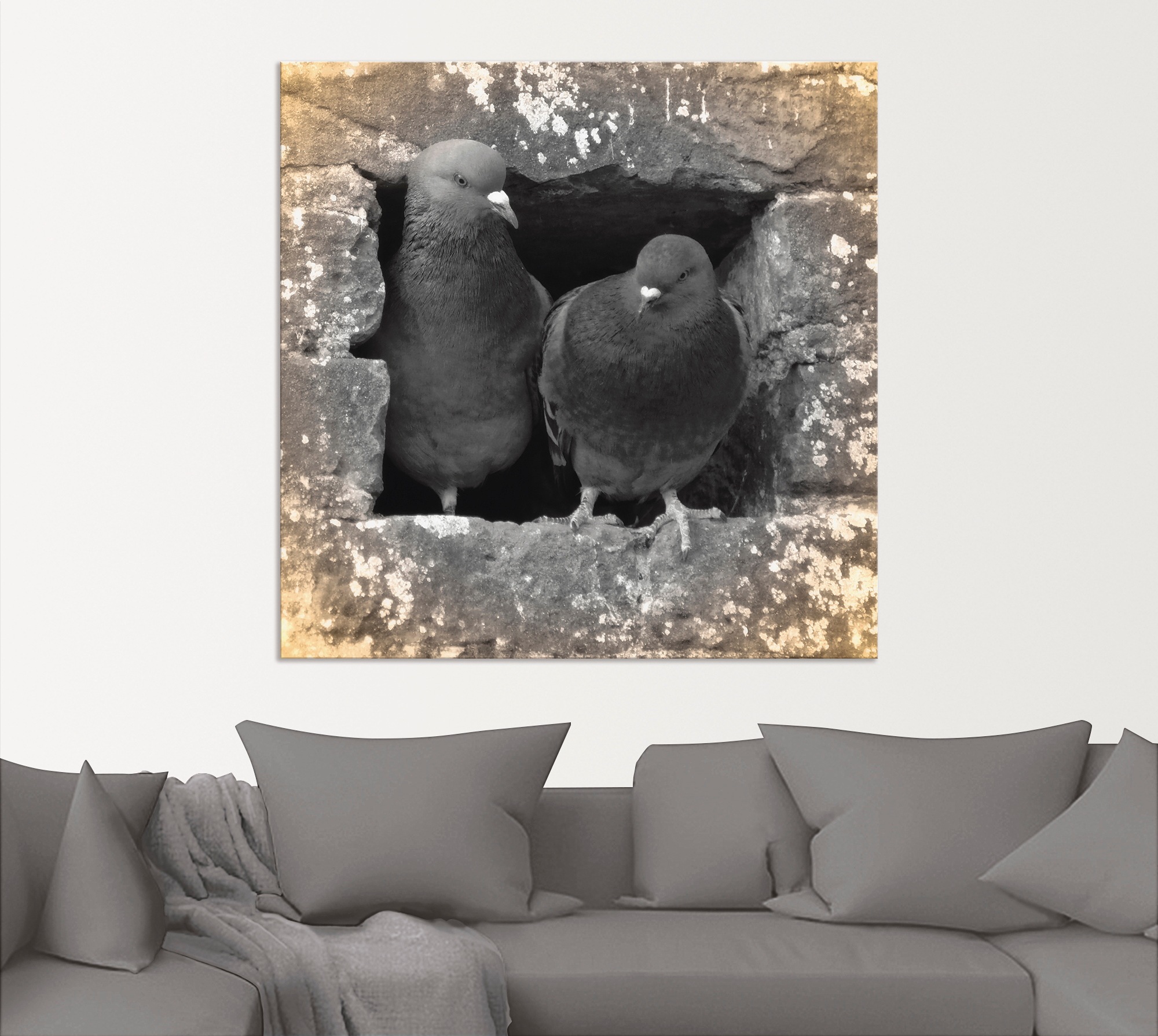 Artland Wandbild »Tauben Liebe«, Vögel, (1 St.), als Alubild, Outdoorbild, Leinwandbild, Poster in verschied. Größen