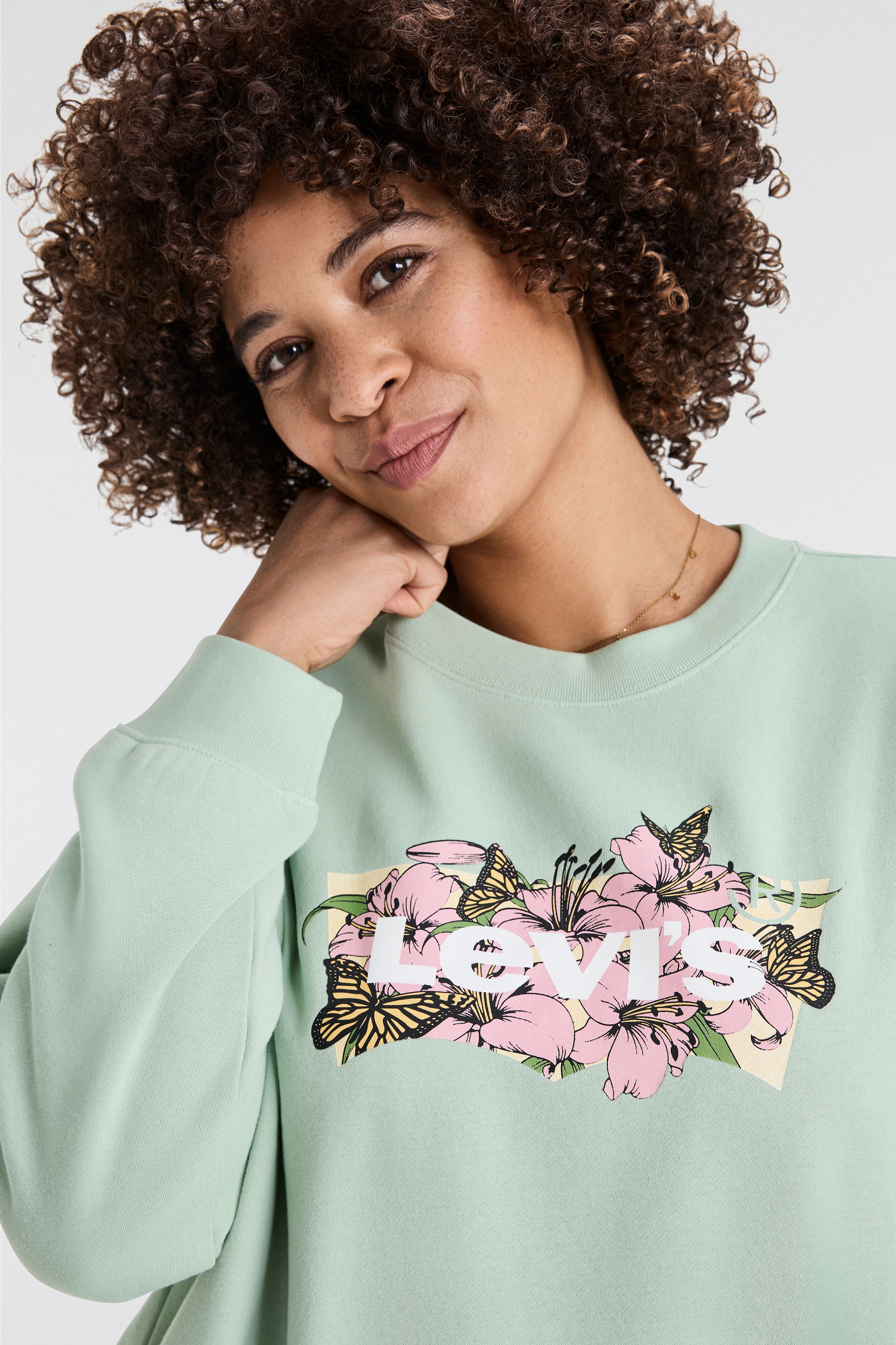Levi's® Plus Sweatshirt »PL GR EVERYDAY CREW«