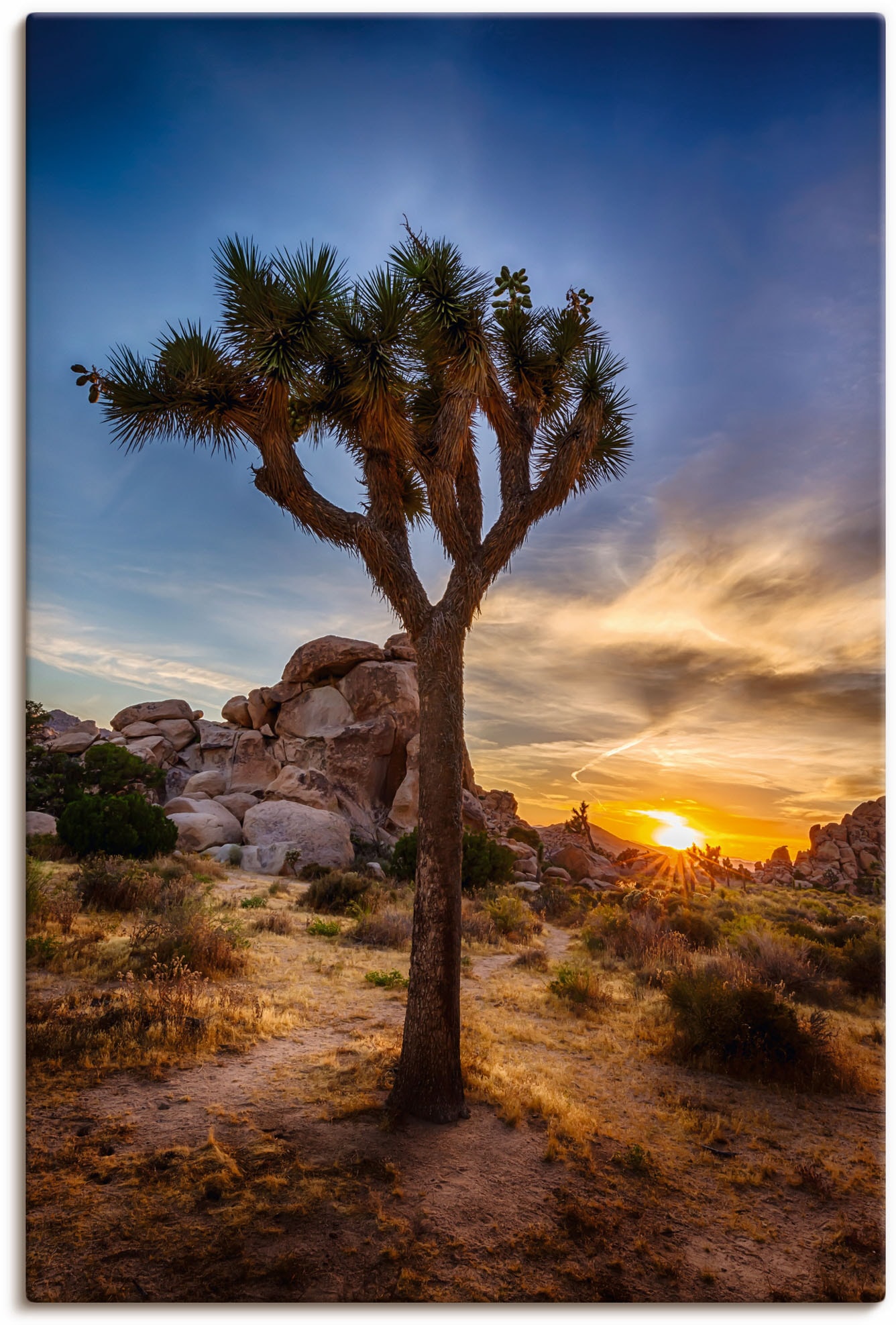 Wandbild »Sonnenuntergang Joshua Tree NationalPark« (1 Stück), in vielen Größen &...