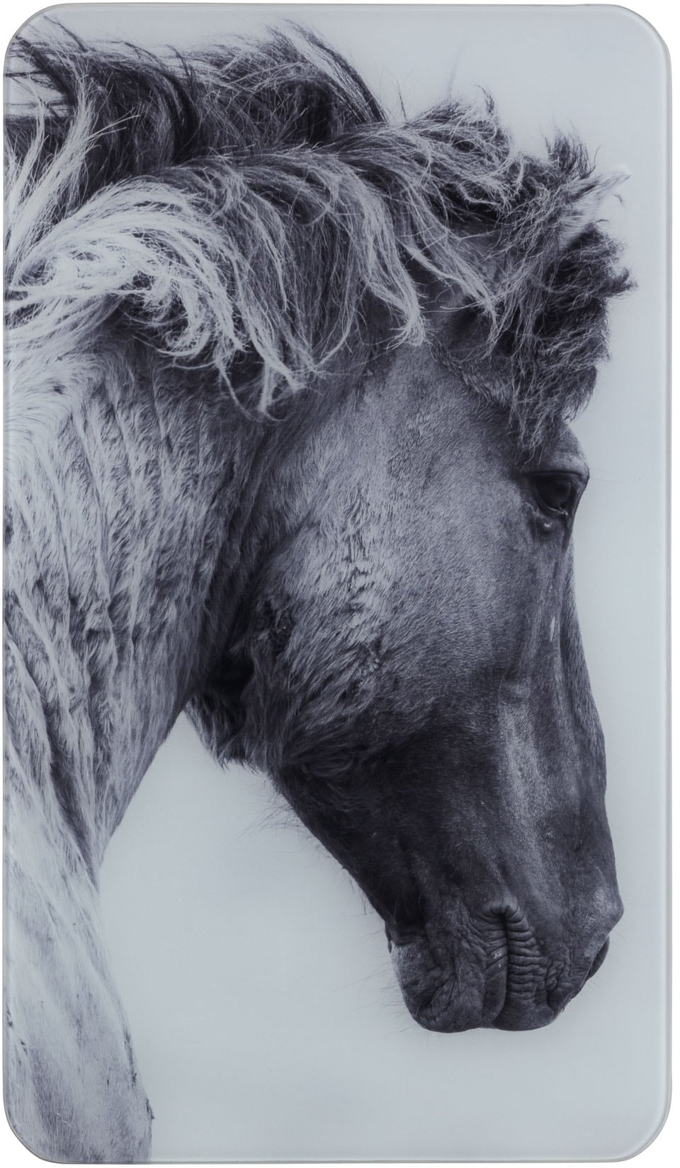 WENKO Herd-Abdeckplatte »Horses«, (Set, 2 tlg.), für alle Herdarten