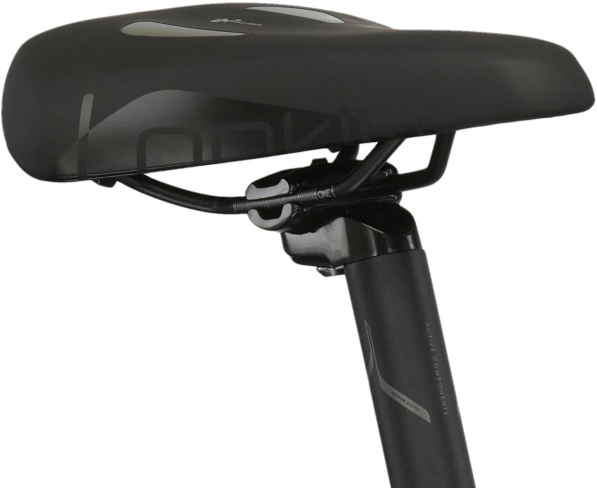 Kross E-Bike »KROSS E-Trekkingrad Trans 5.0 28" weiß 9 Gänge«, 9 Gang, microSHIFT, ADVENT M619, Mittelmotor 250 W, Pedelec, Elektrofahrrad für Damen und Herren