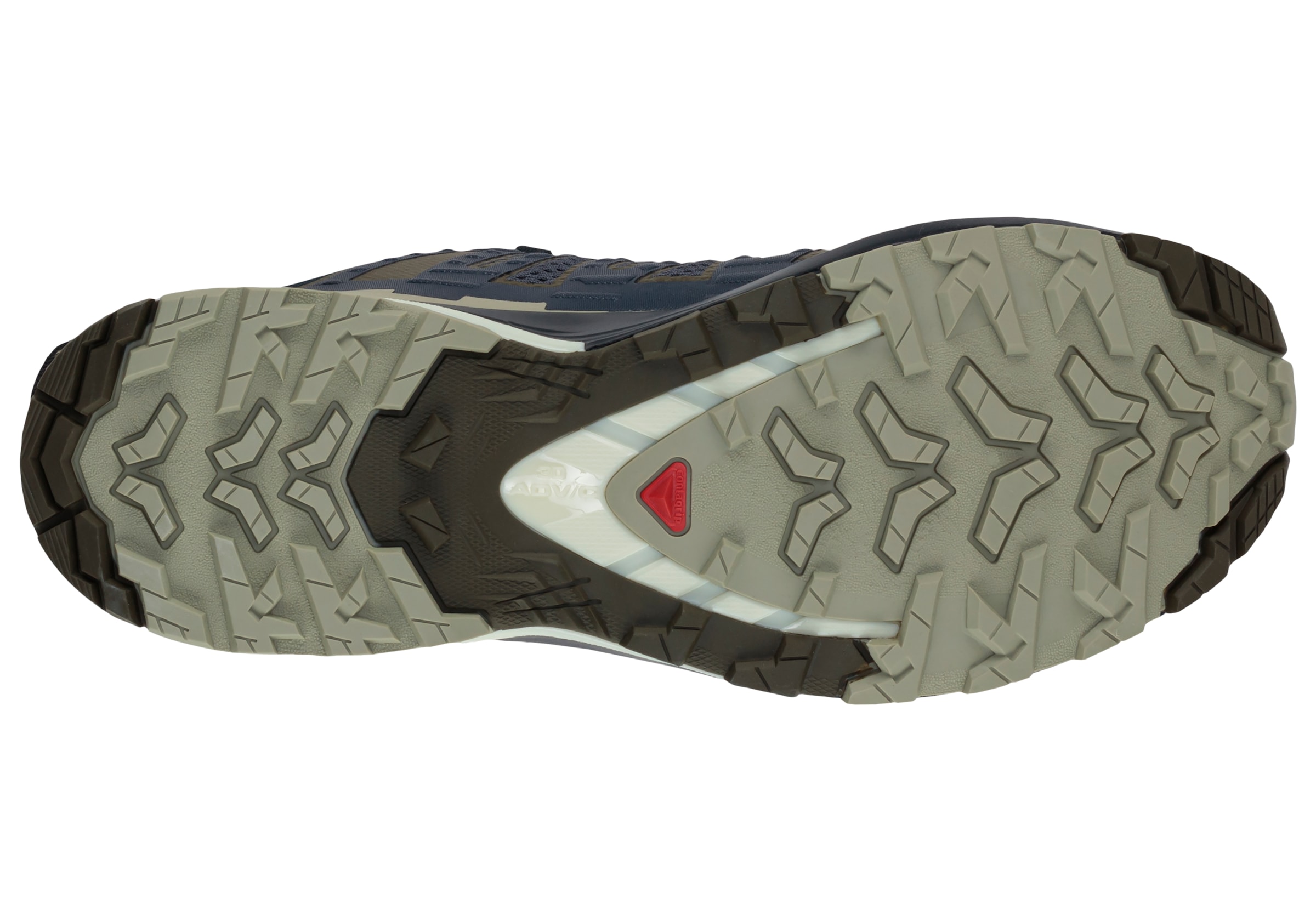 Salomon Trailrunningschuh »XA PRO 3D V9«