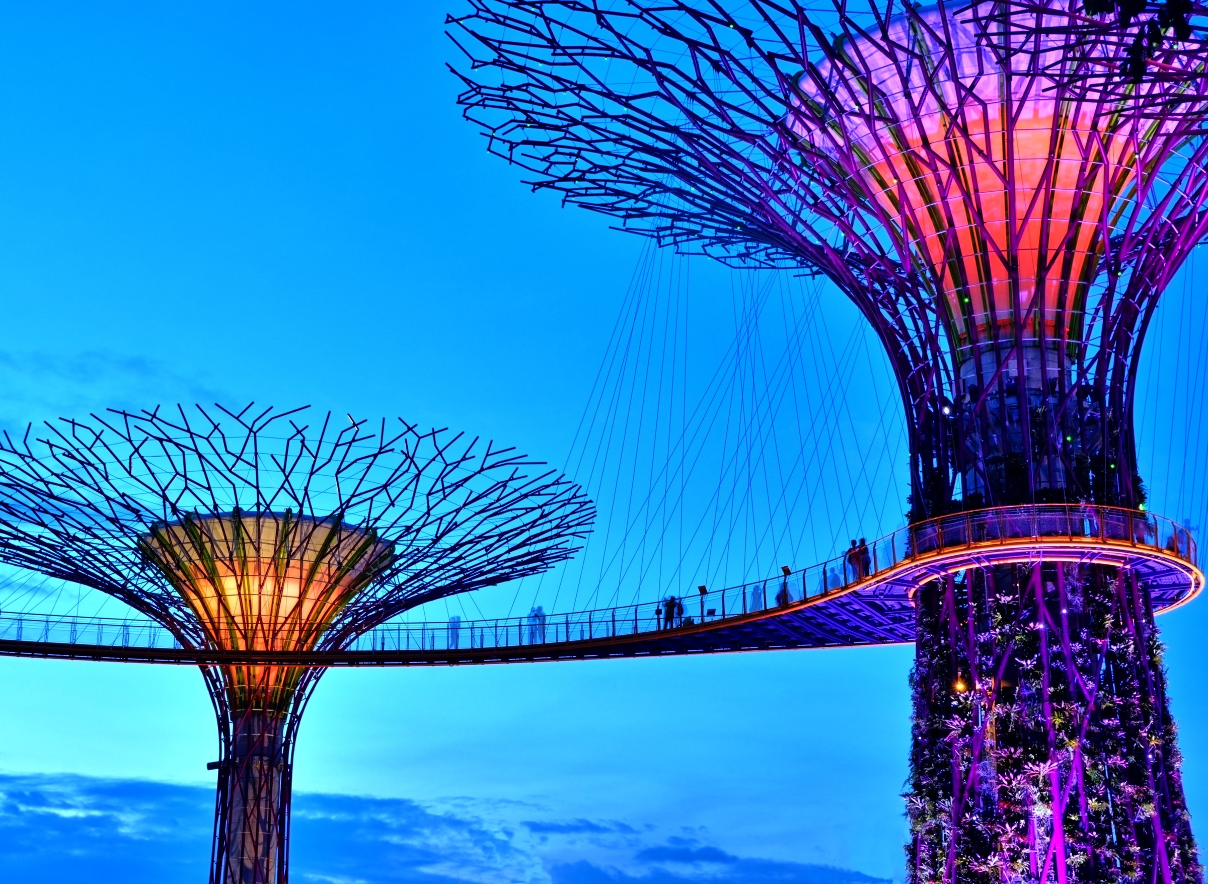 Fototapete »Singapore Bay Supertrees«
