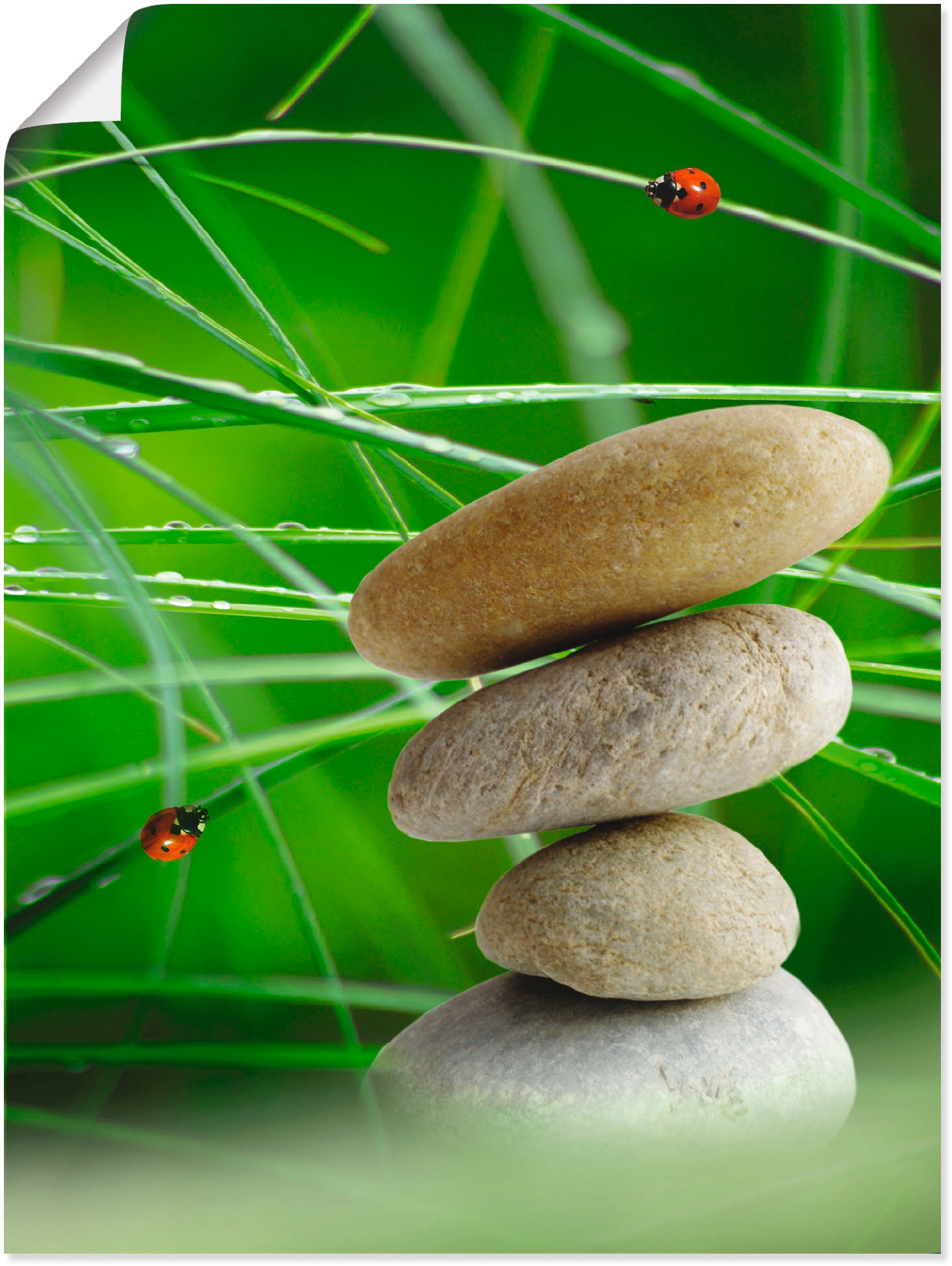 Artland Wandbild »Balance Steine«, Zen, (1 St.), in vielen Größen & Produktarten - Alubild / Outdoorbild für den Außenbereich, Leinwandbild, Poster, Wandaufkleber / Wandtattoo auch für Badezimmer geeignet