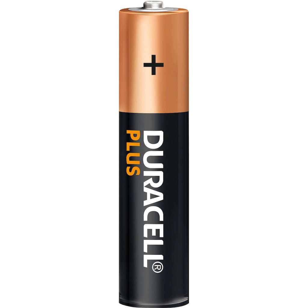 Duracell Batterie »20+10 Pack: 20x Mignon/AA/LR06 + 10x Micro/AAA/LR03«, LR06, (Spar-Set, 30 St., Alkaline Batterie, 30 Stück)