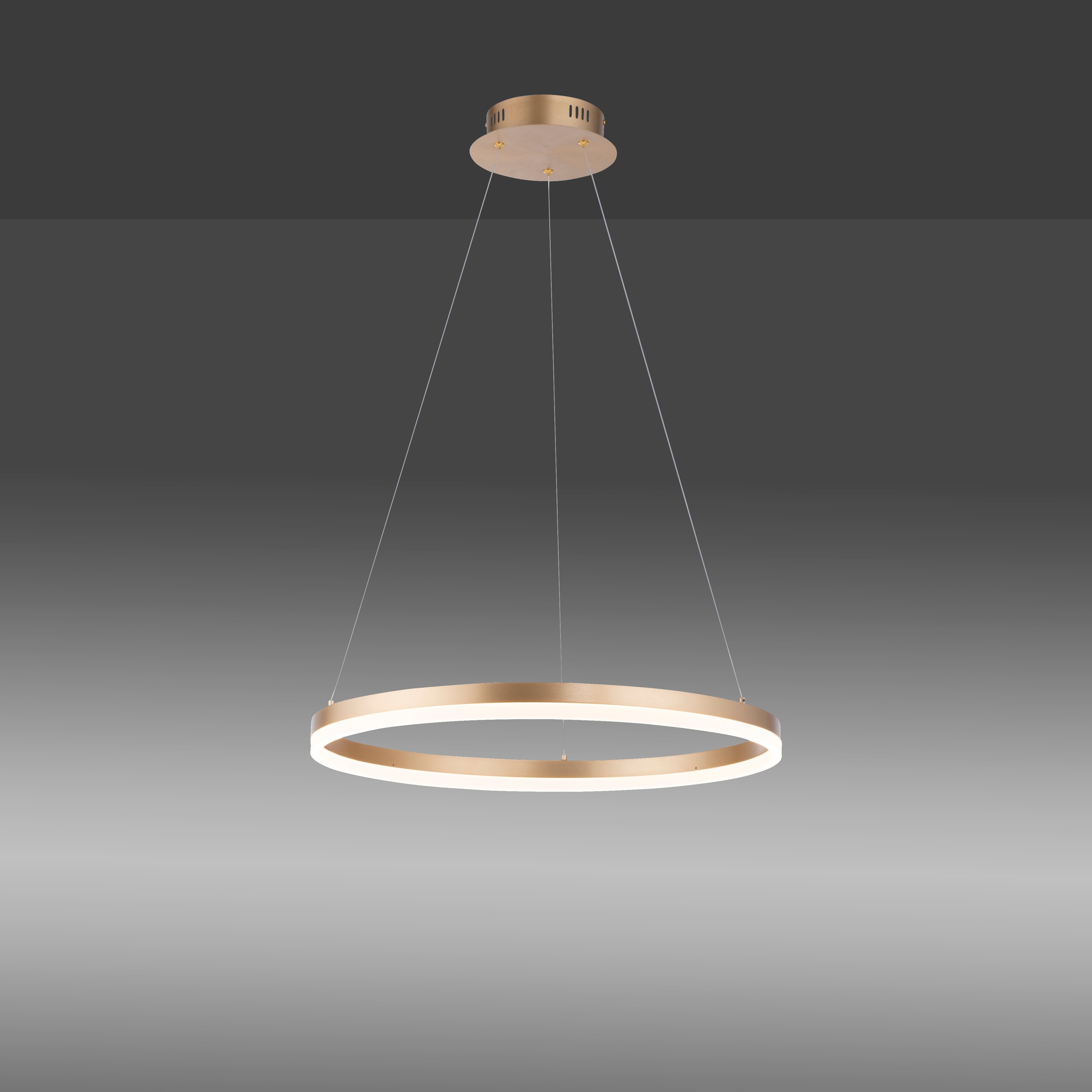 Paul Neuhaus Pendelleuchte »TITUS«, 1 flammig, Leuchtmittel LED-Board | LED fest integriert, LED, dimmbar, Simply Dim, Memory, nach Trennung vom Netz
