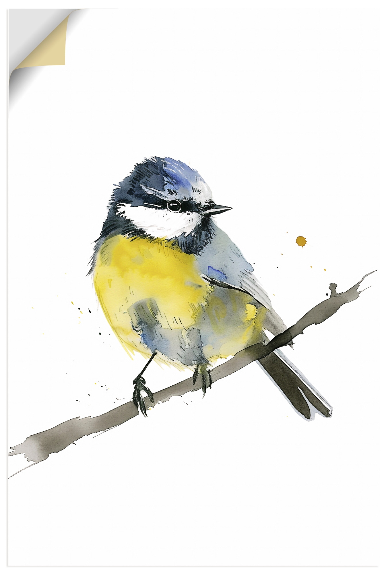 Artland Wandbild »Aquarell Blaumeise« Vogelbilder 1 Stk. tlg. als Alubild, Leinwandbild, Poster, Wandaufkleber in verschied. Größen