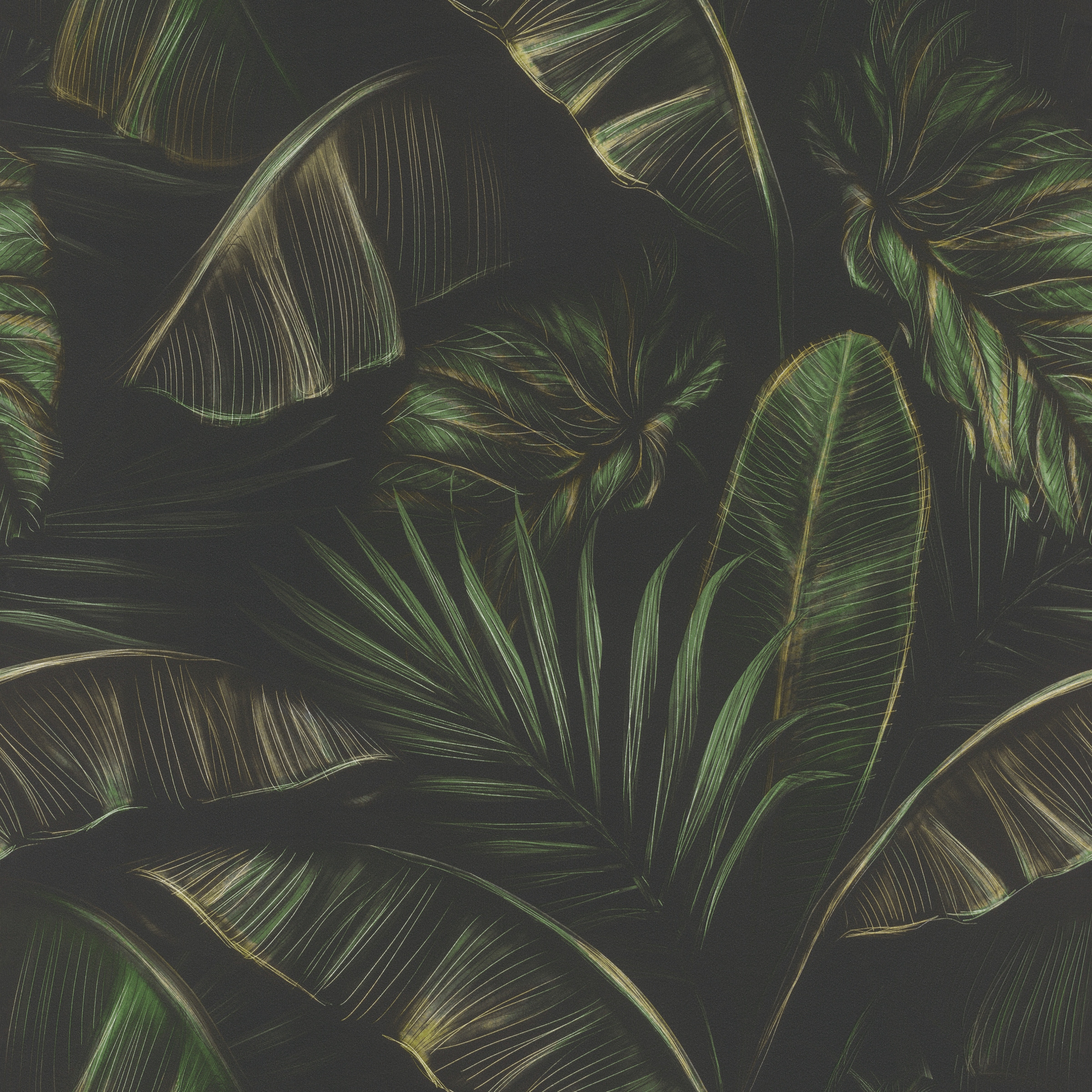 Rasch Papiertapete »mit exotischen Blättern« botanisch strukturiert mit Palmenblättern