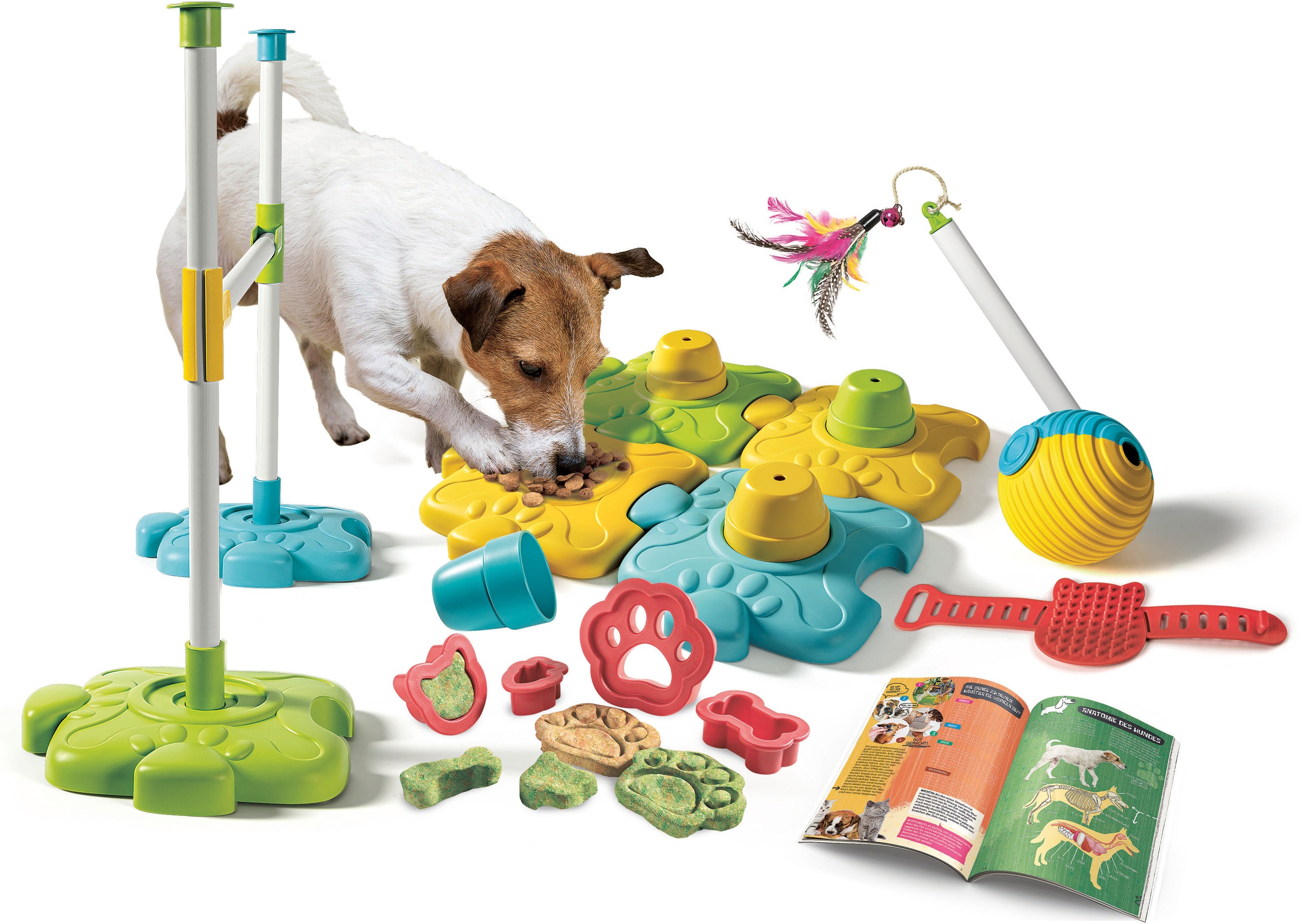 Clementoni® Experimentierkasten »Galileo, Dein Haustier Aktivitäts-Set«, Made in Europe