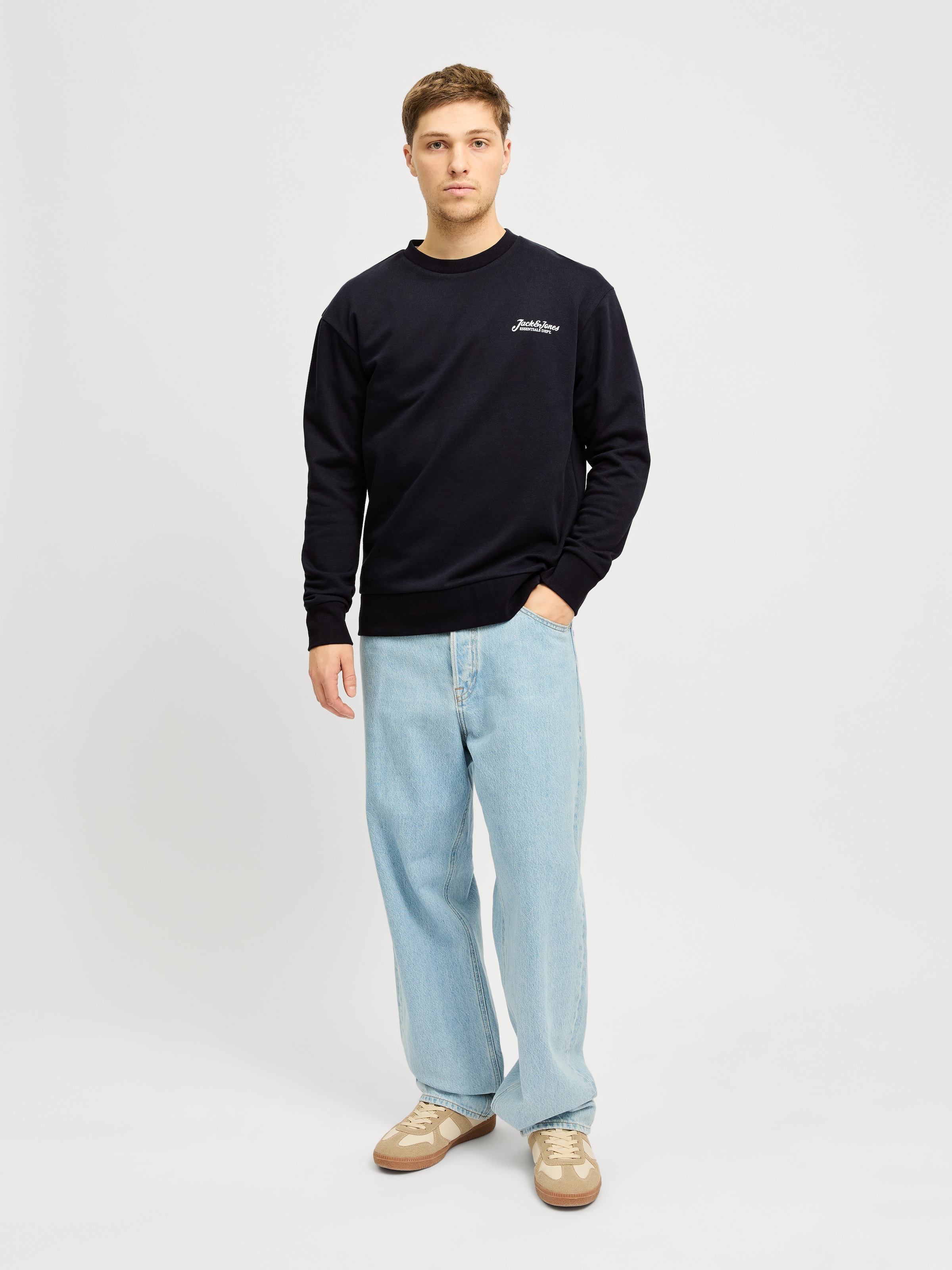 Jack & Jones Sweatshirt »JJBEAU SWEAT CREW NECK«
