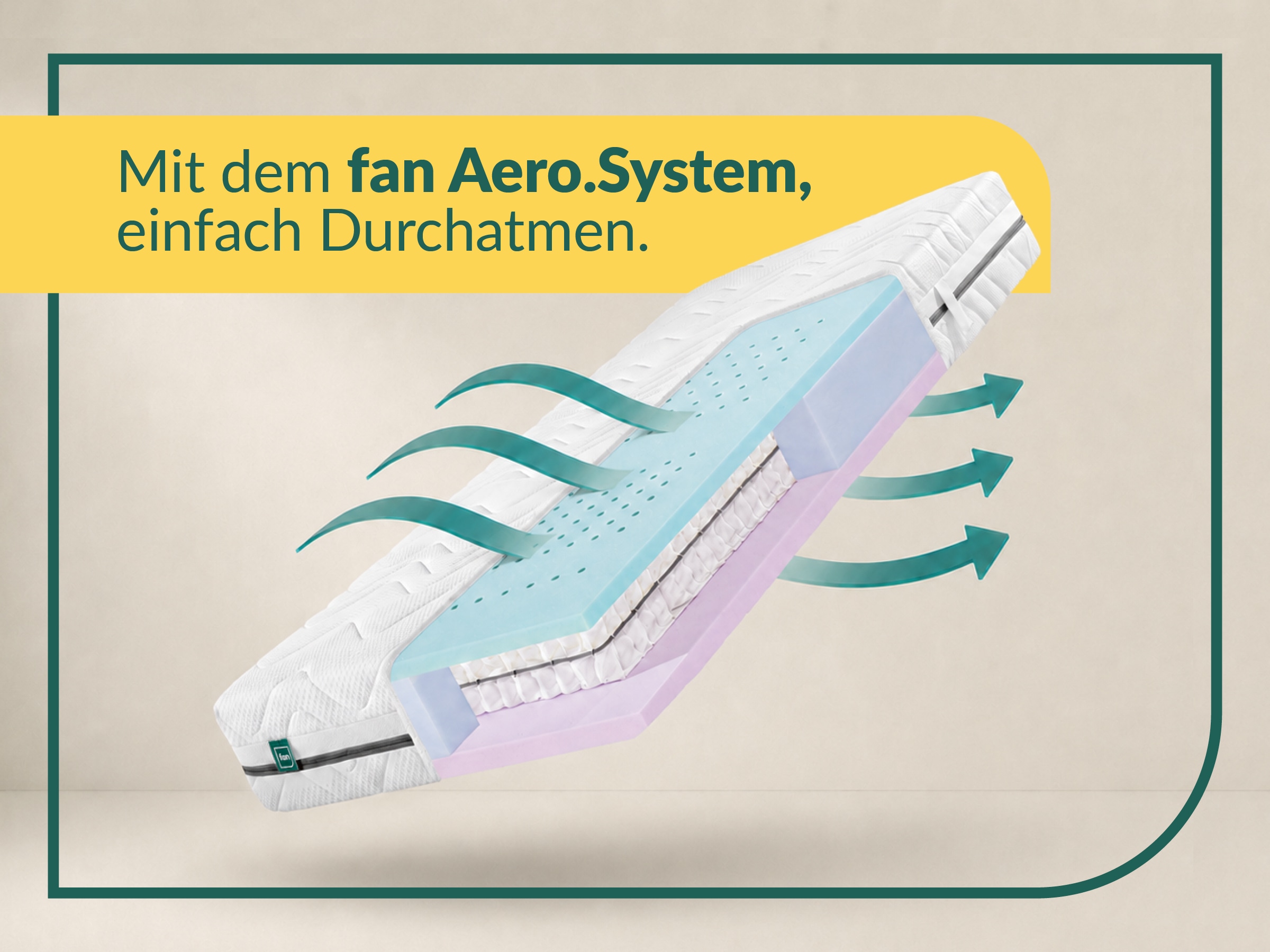 fan »fan Flex Side Clima T, Matratze 90x200 cm, 140x200 cm & mehr, in H2/H3« 24 cm hoch 1.034 Federn 1 Stk. tlg. Wendematratze mit Aero-System,1034 Federn (bei 100x 200 cm)
