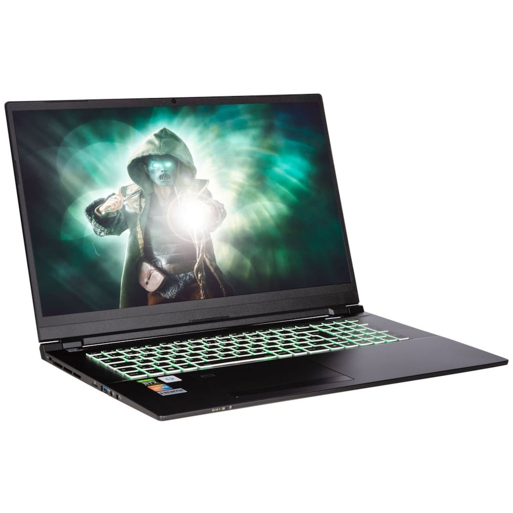 CAPTIVA Gaming-Notebook »Highend Gaming I60-987«, 43,9 cm, / 17,3 Zoll, Intel, Core i7, GeForce RTX 3080, 1000 GB SSD