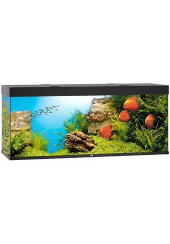JUWEL AQUARIEN Aquarium »Rio 450 LED«, BxTxH: 151x51x66 cm, 450 l kaufen