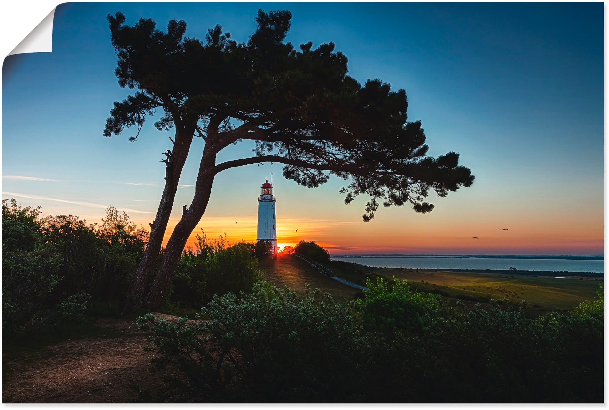 Artland Wandbild »Sonnenaufgang auf Hiddensee«, Sonnenaufgang & -untergang, (1 St.), in vielen Größen & Produktarten - Alubild / Outdoorbild für den Außenbereich, Leinwandbild, Poster, Wandaufkleber / Wandtattoo auch für Badezimmer geeignet