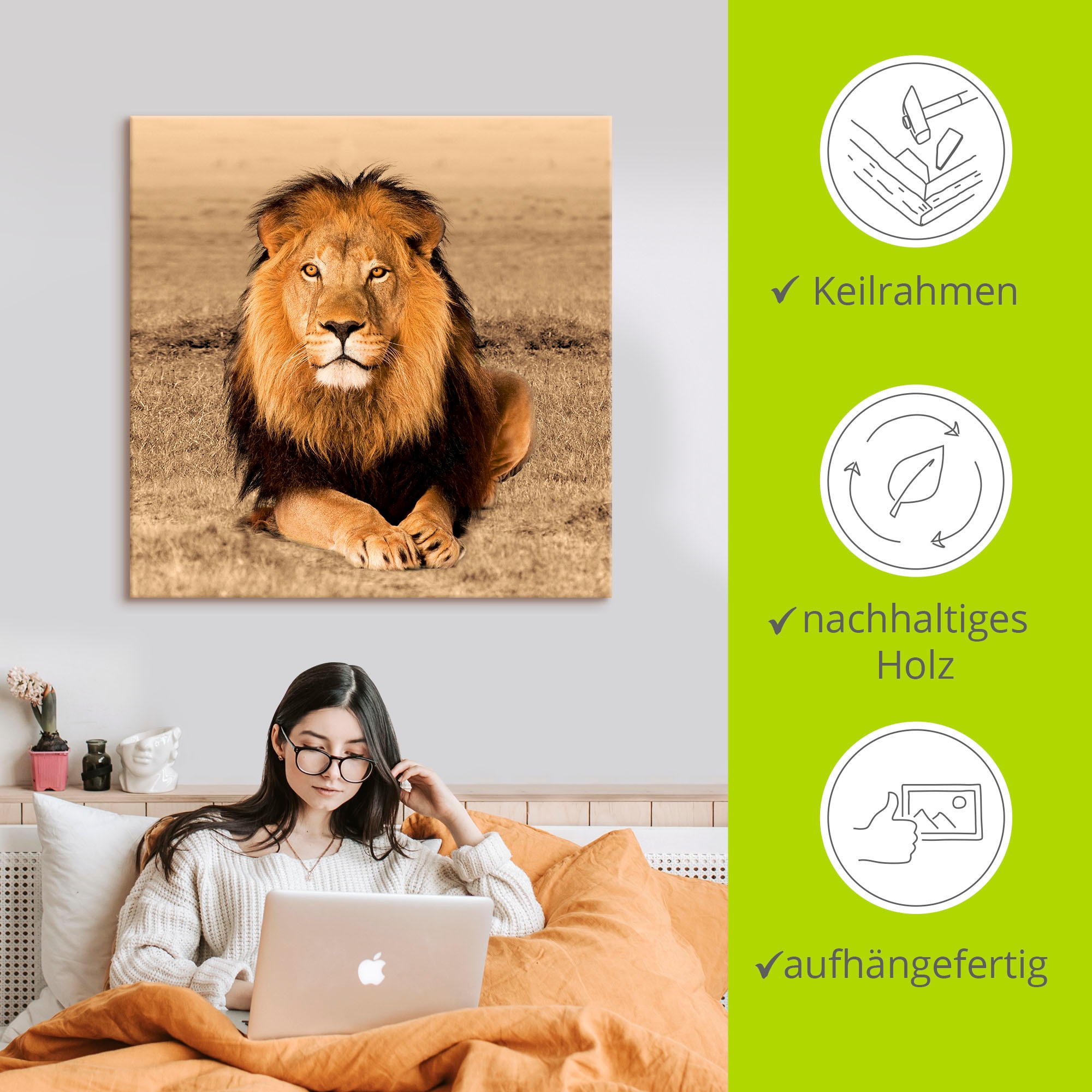 Artland Wandbild »Löwe«, Wildtiere, (1 St.), als Alubild, Outdoorbild, Leinwandbild, Poster, Wandaufkleber